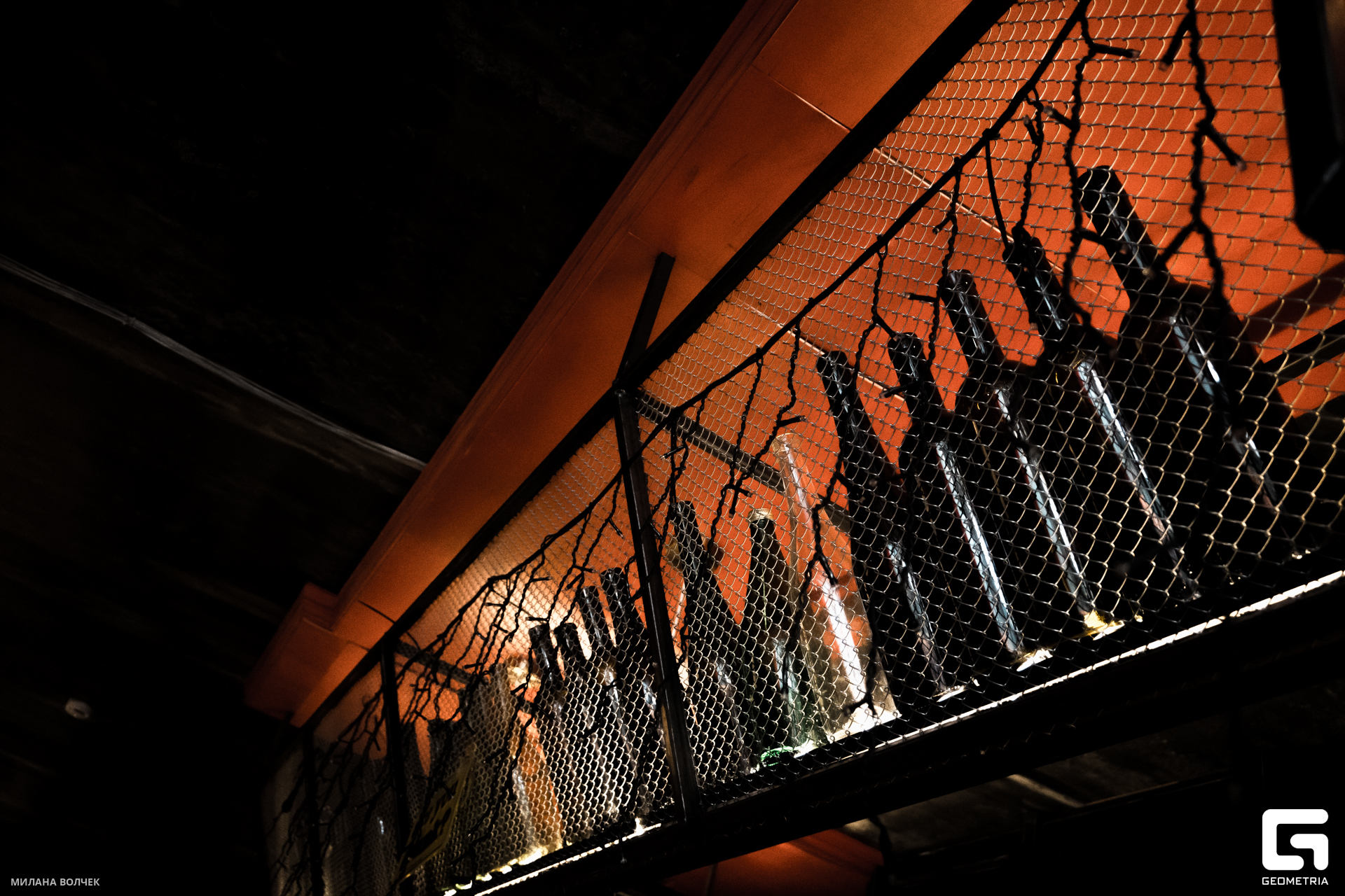 002_20231124 Волчек.jpg