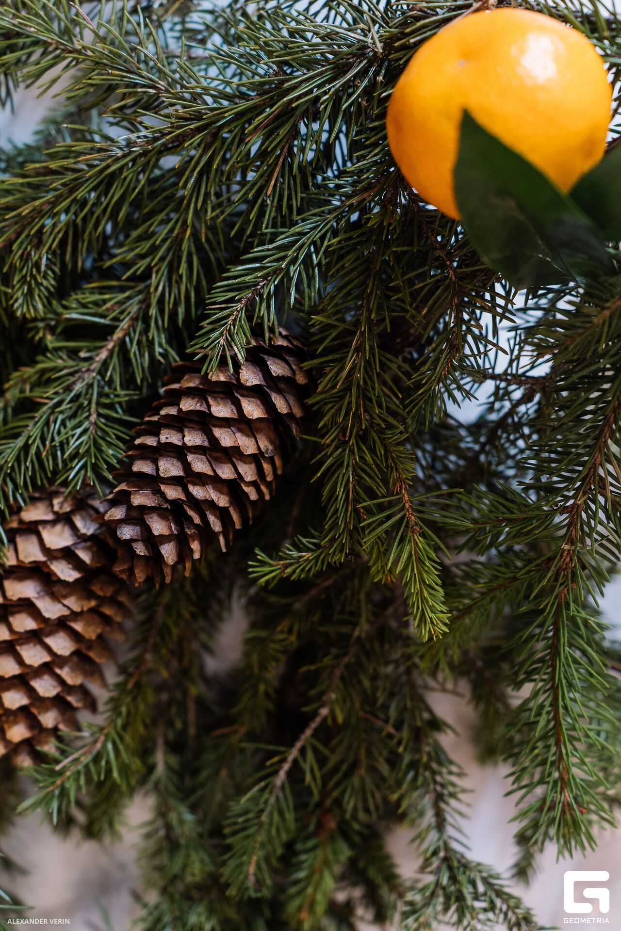 017 20240101 AV106425.jpg