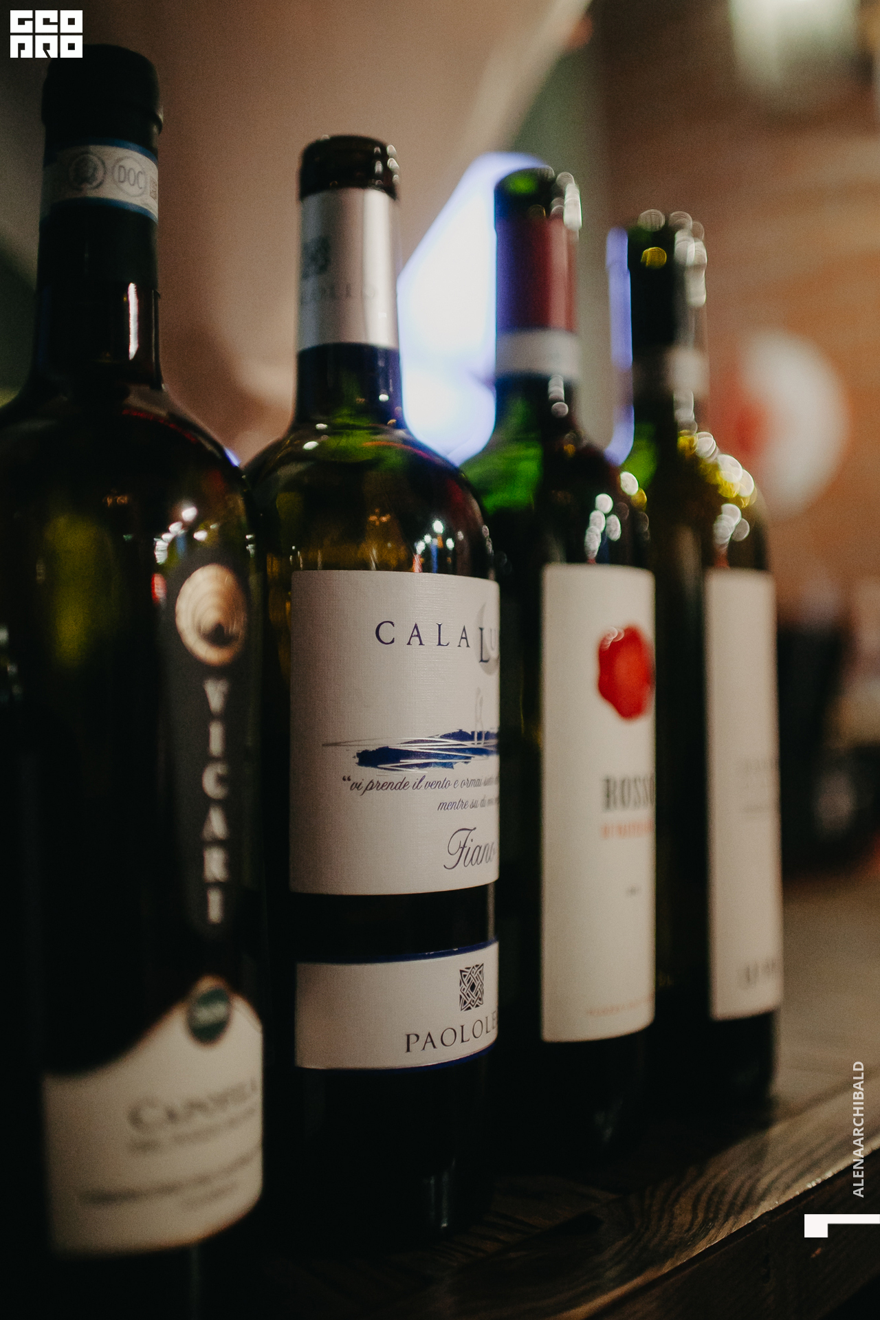 2022-09-16 20-53-15_alenaarchibald019.jpg