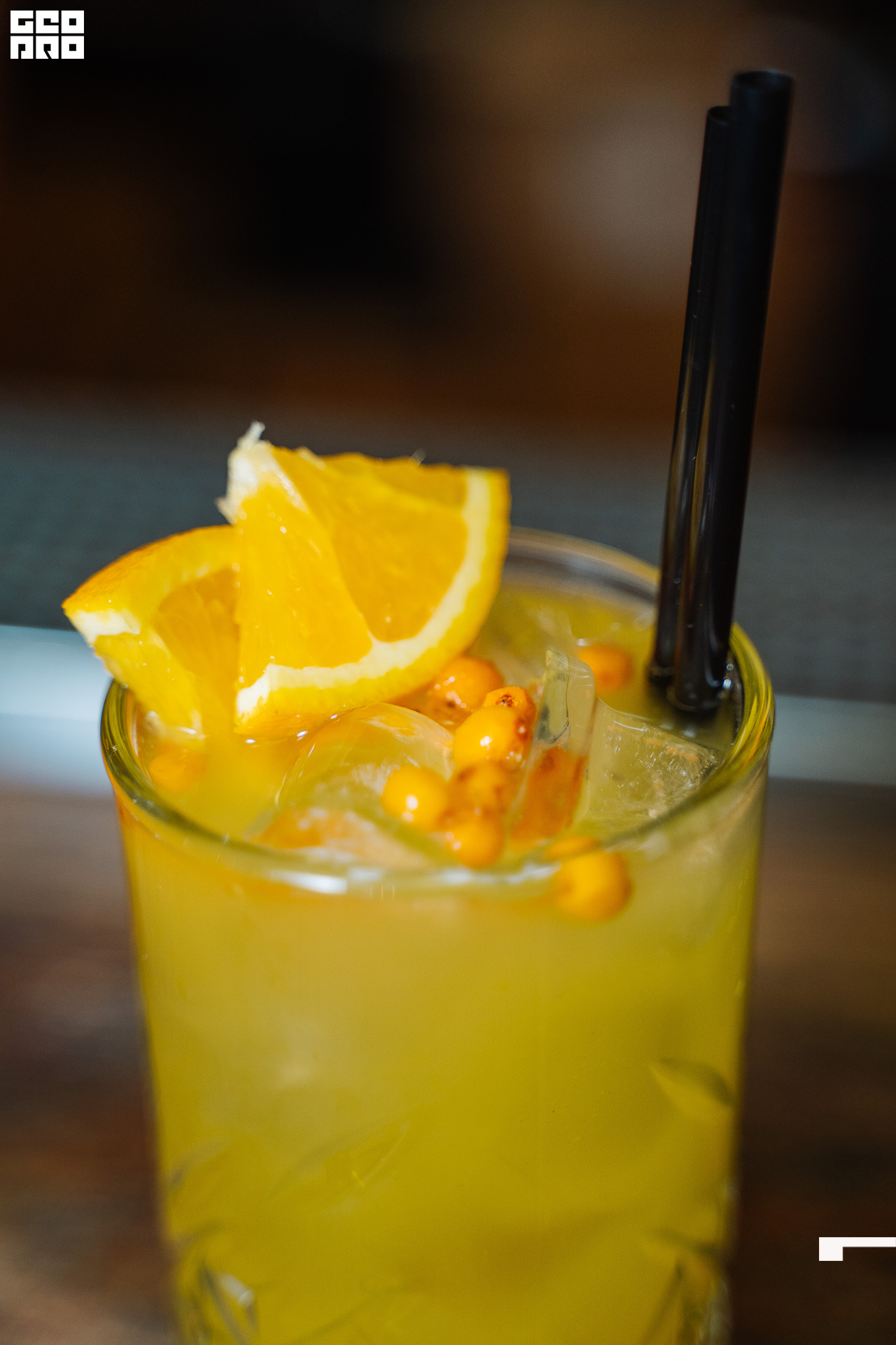 20221125 0089 _AV24083.jpg