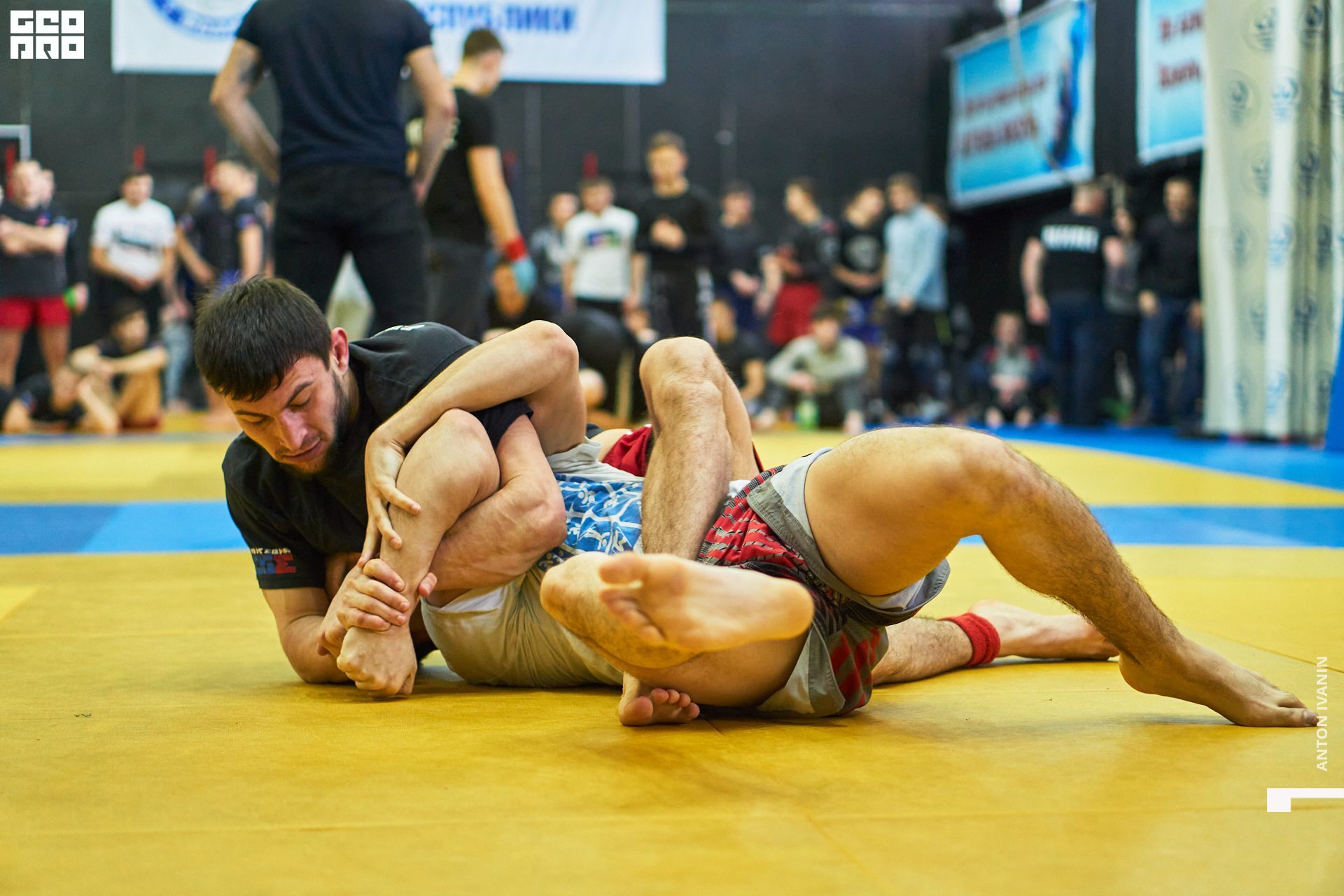 DSC08863 (Копировать).jpg