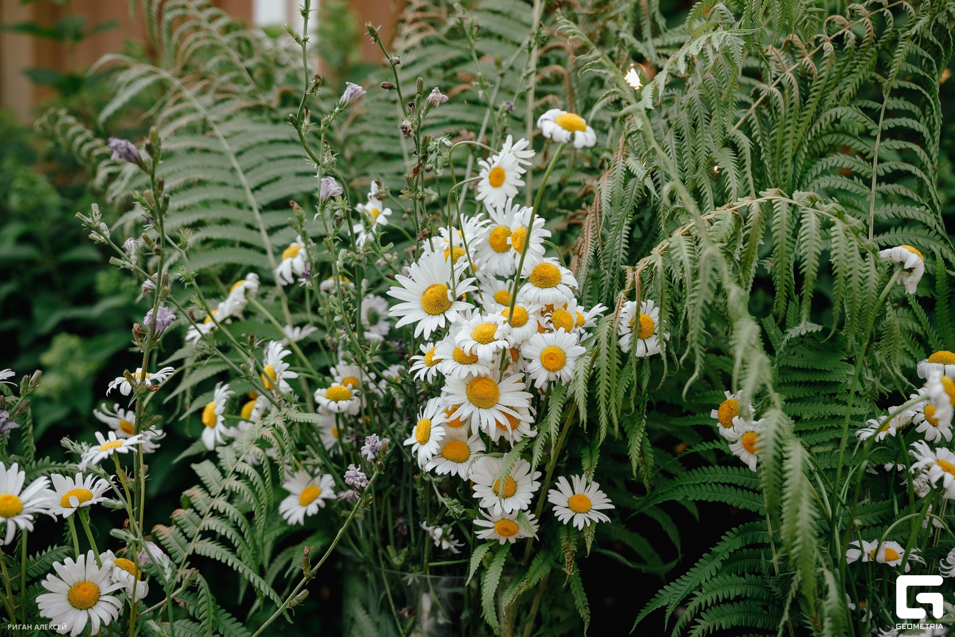 День рождения РК ПЯТОЕ КОЛЕСО 202300177.jpg