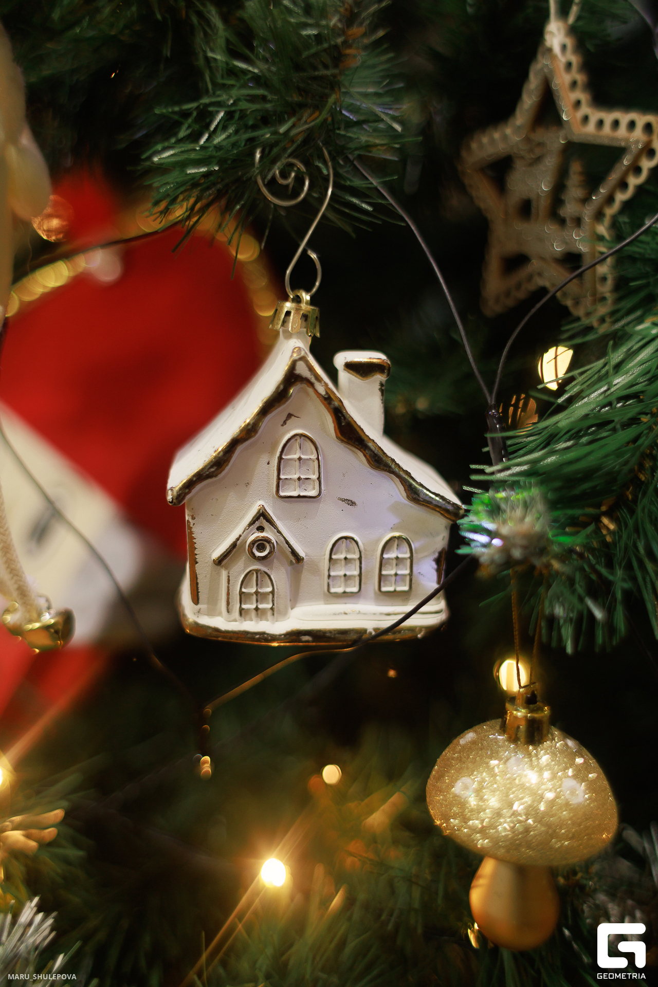 Мыльные_пузыри 1-102.jpg