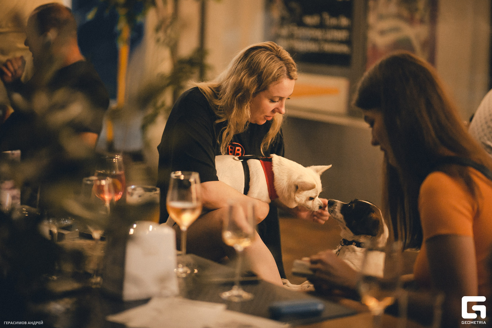 024 Свиристели 24.06.jpg