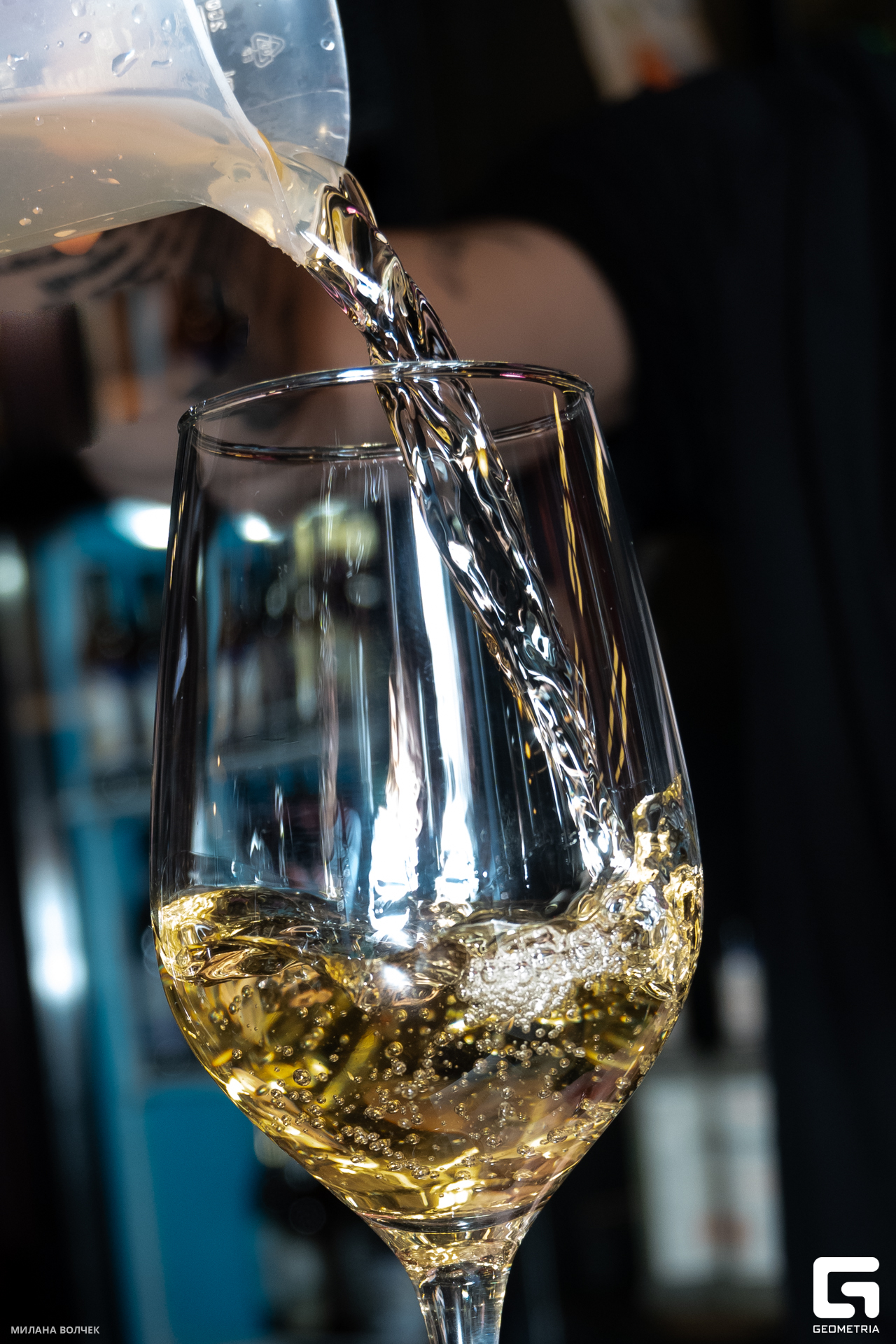 015_20231201 Волчек.jpg