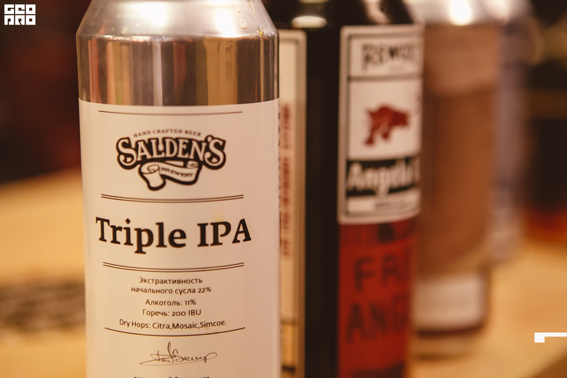 180 211010  213431 _ale_romanova.jpg