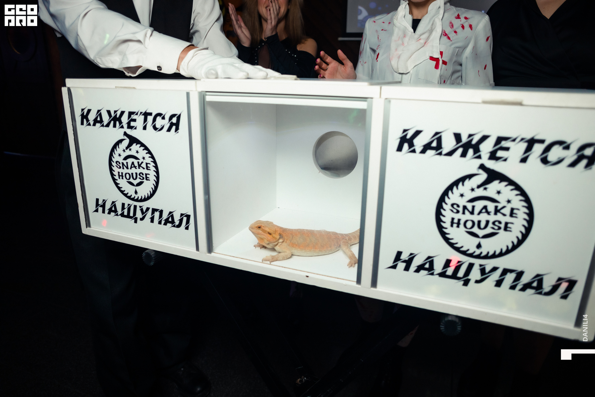 Тортуга хеллоуин 29.10.22-11.jpg