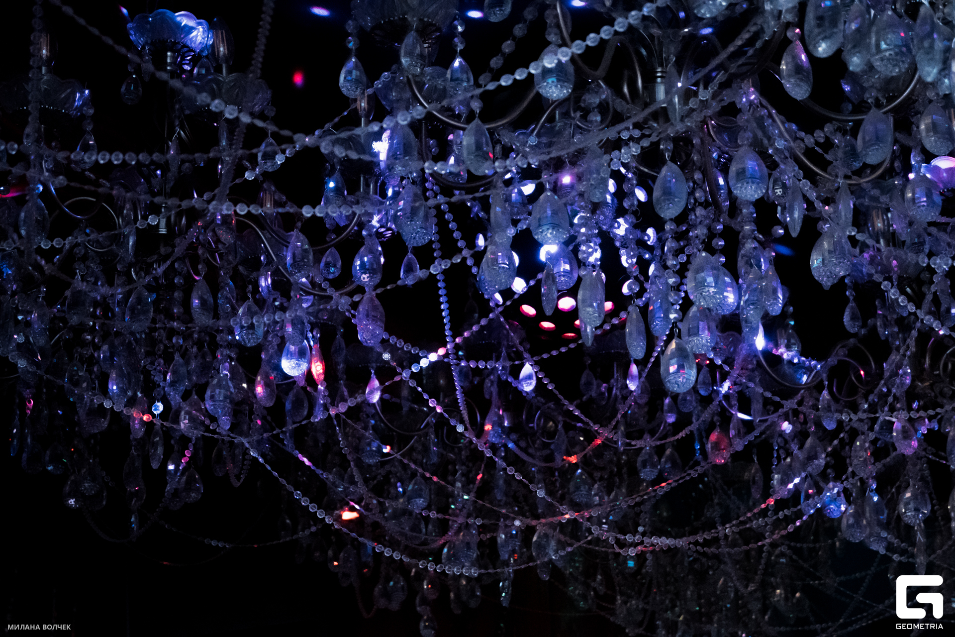 002_20231124 Волчек.jpg