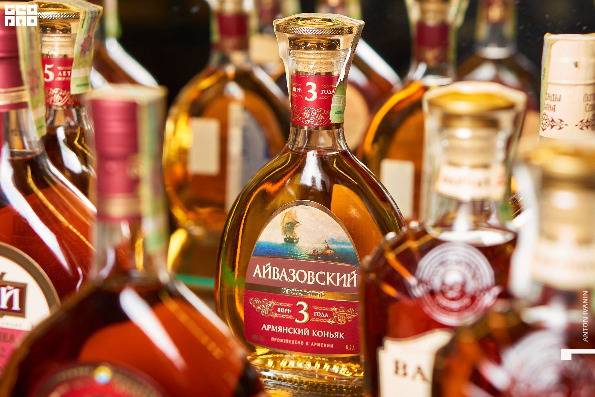 DSC08828 (Копировать).jpg