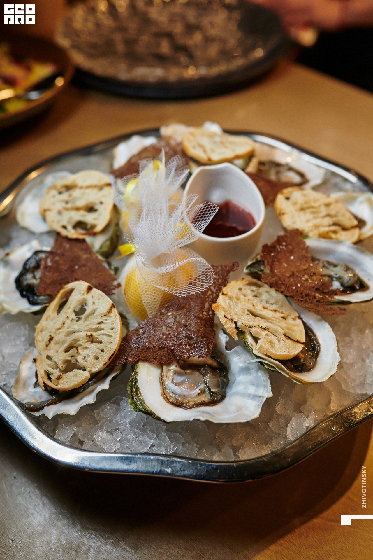 037_24-12-21_9-44 _Zhivotinsky.jpg