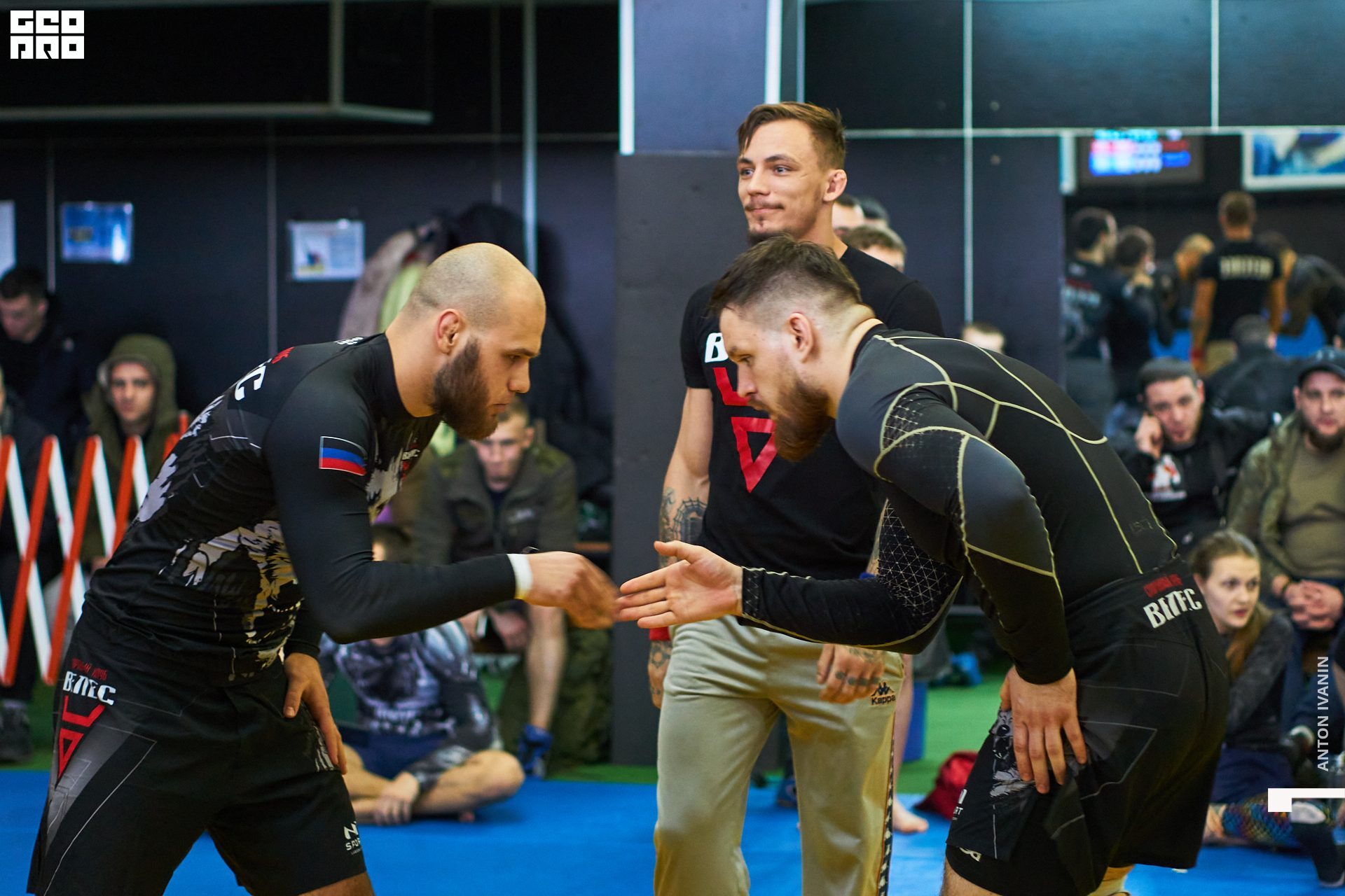 DSC09674 (Копировать).jpg