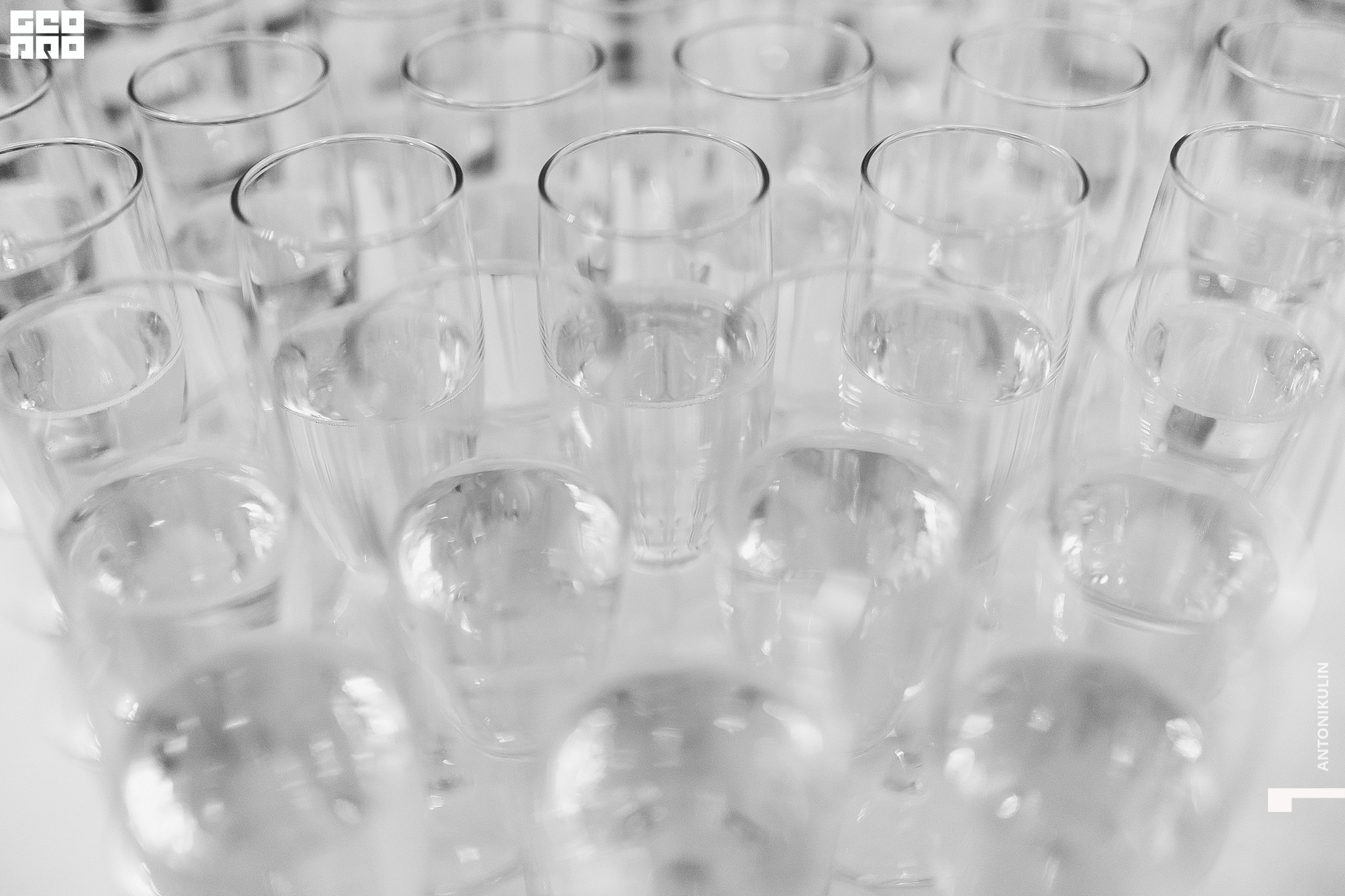 untitled shoot-1678.jpg