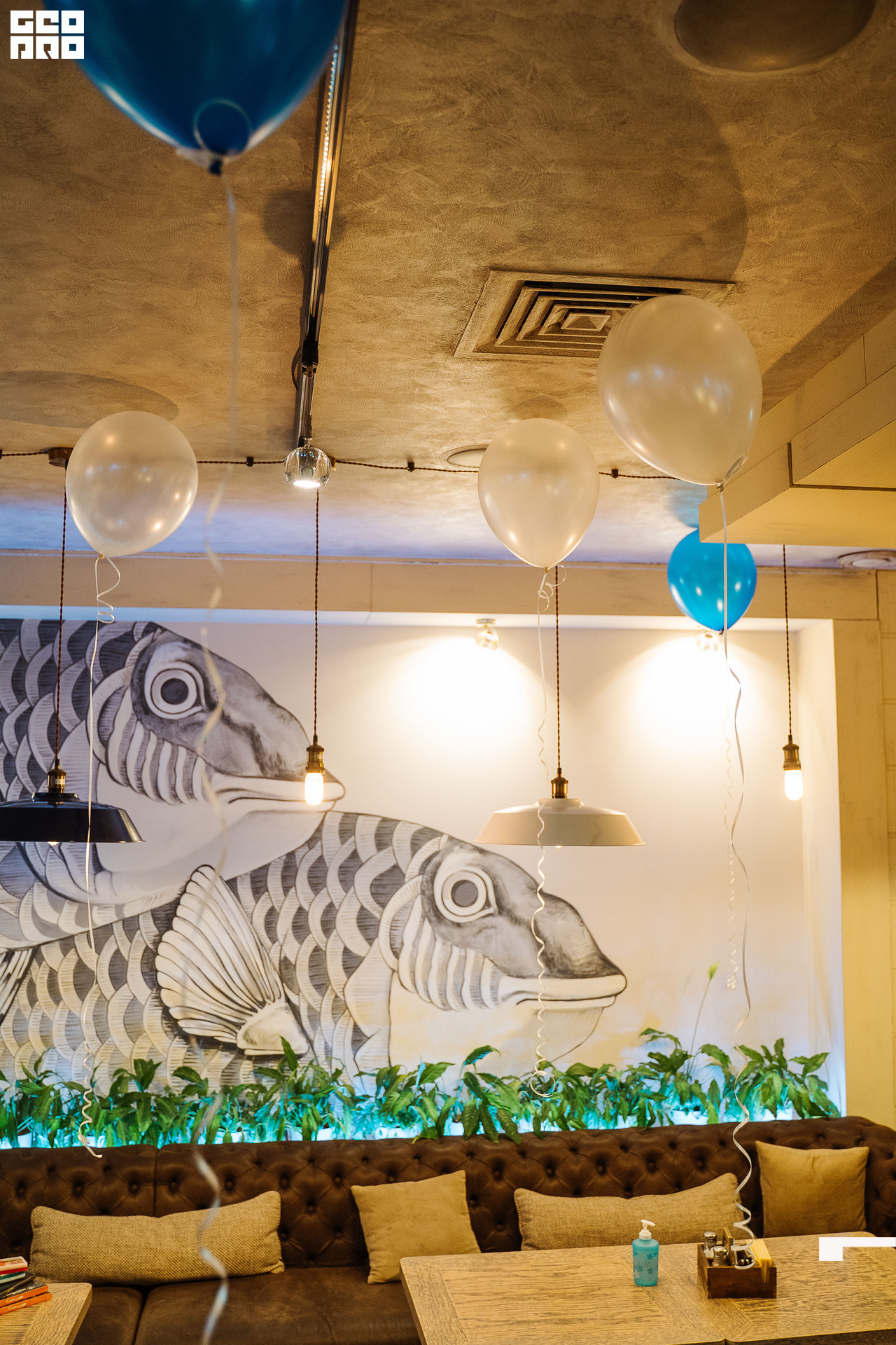 20221125 0013 _AV23765.jpg