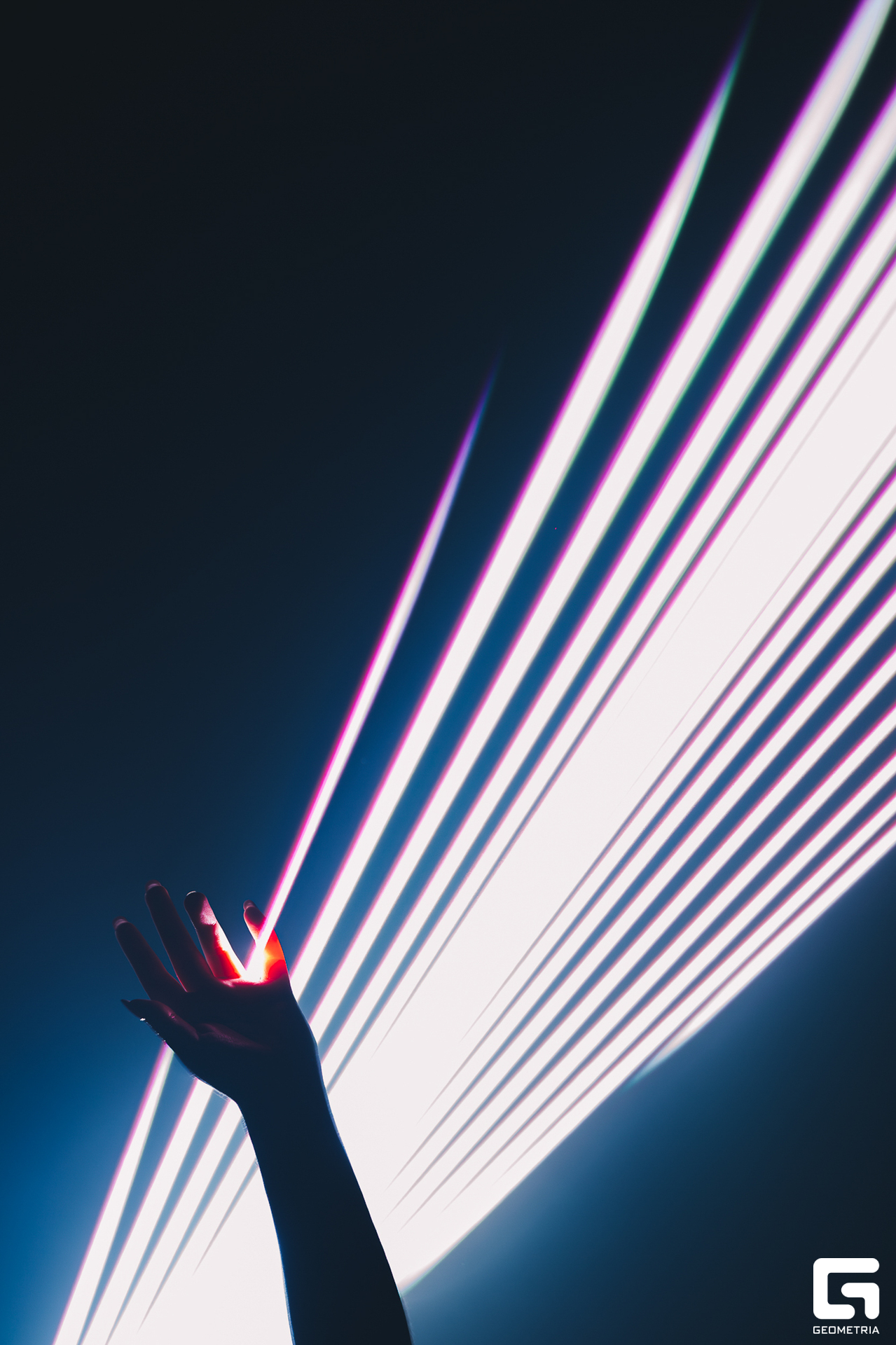 np-315-пари ночь0225.jpg