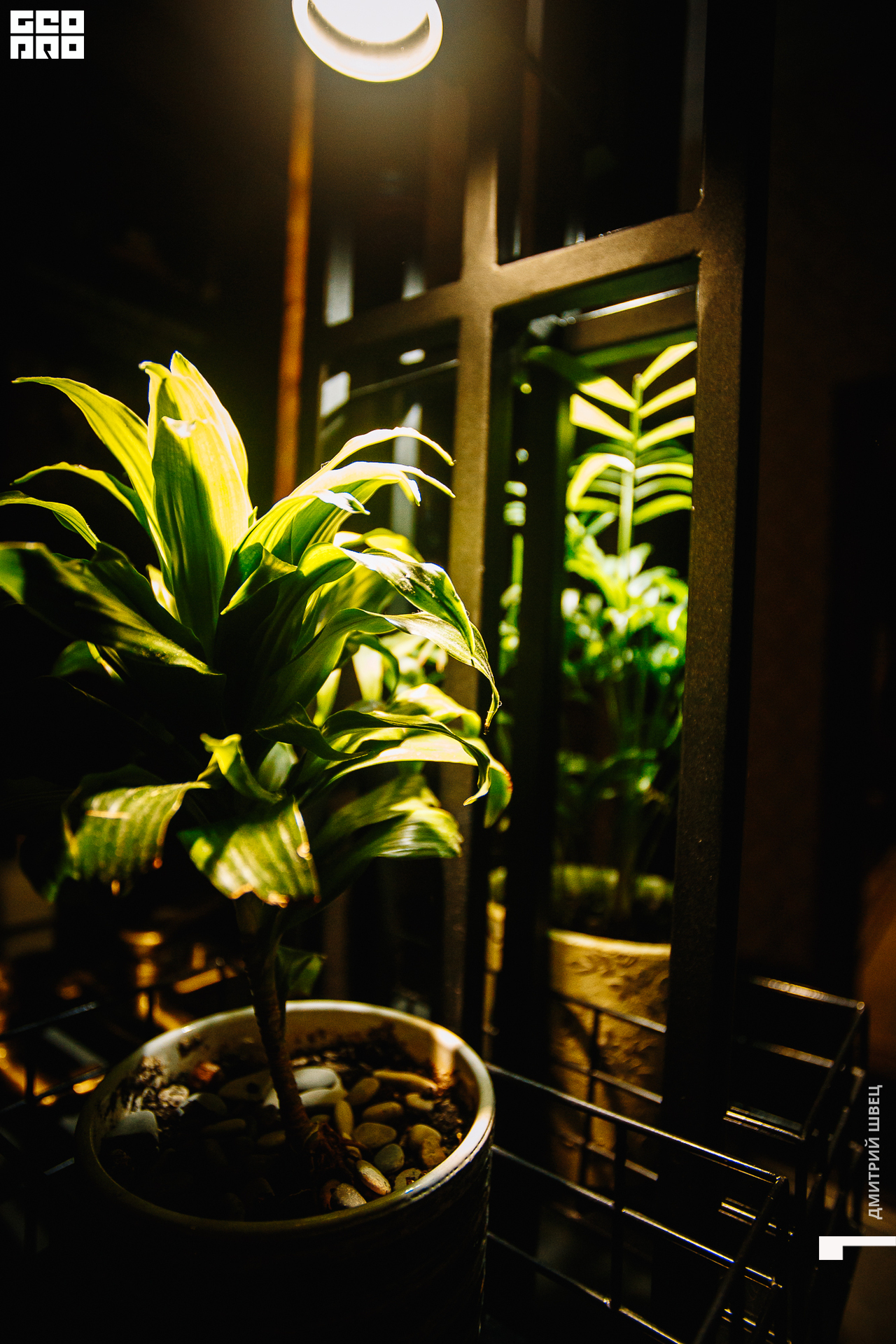 074  2021-11-05 21-11-46 Shvets_.jpg