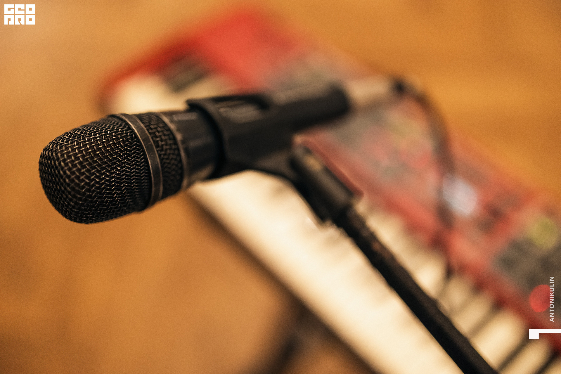 untitled shoot-8158.jpg