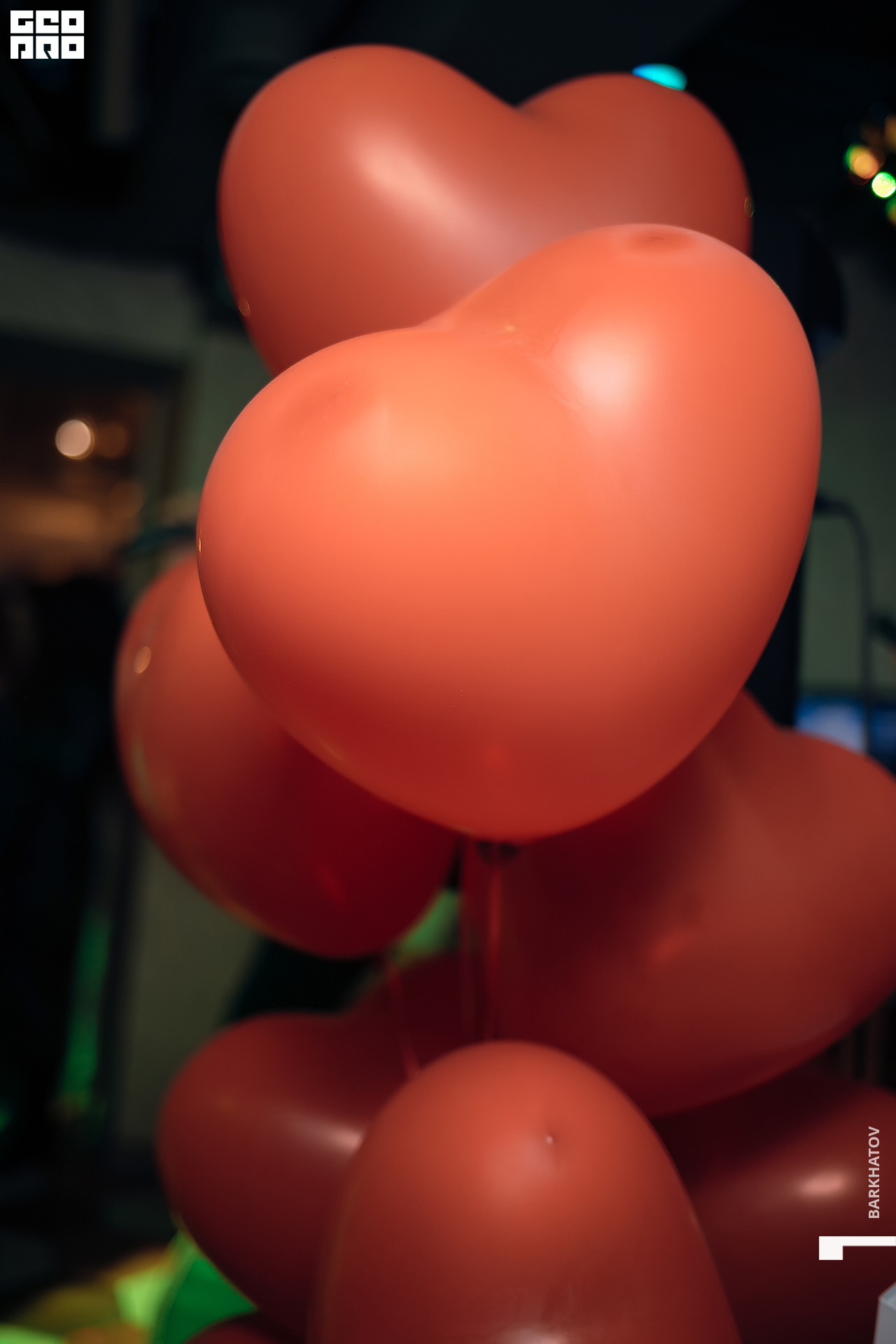 005 13.02.2021 @mibiyl.jpg