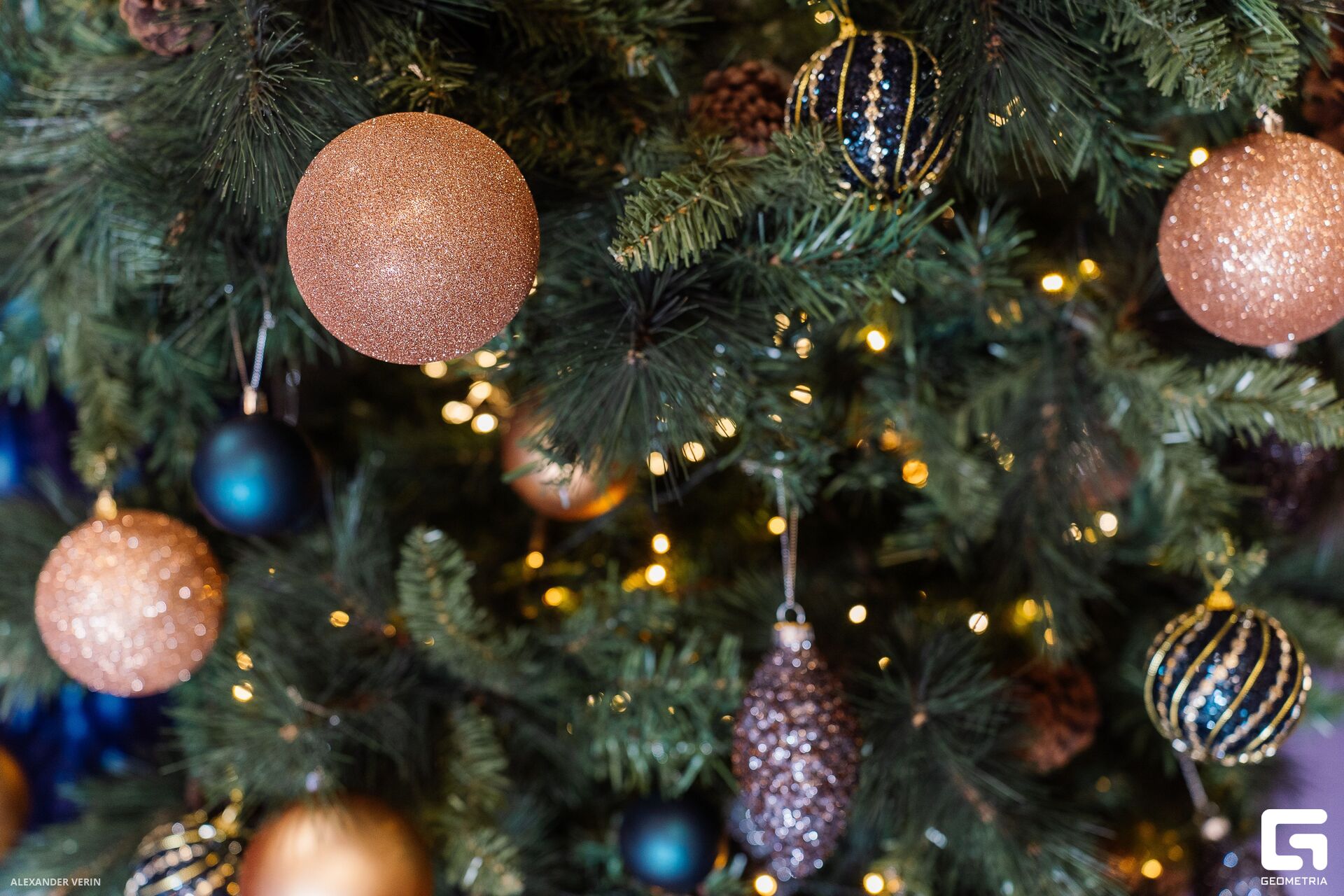 006 20240101 AV106376.jpg