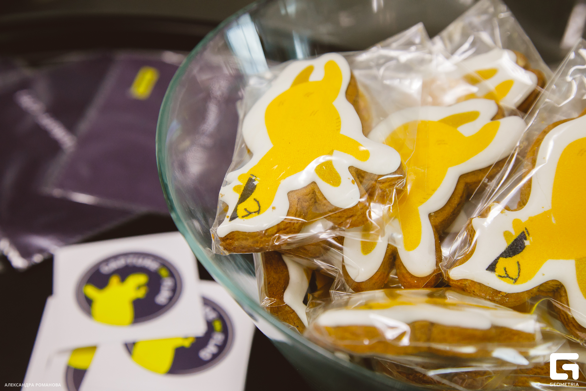 059 2023-07-15  Романова.jpg