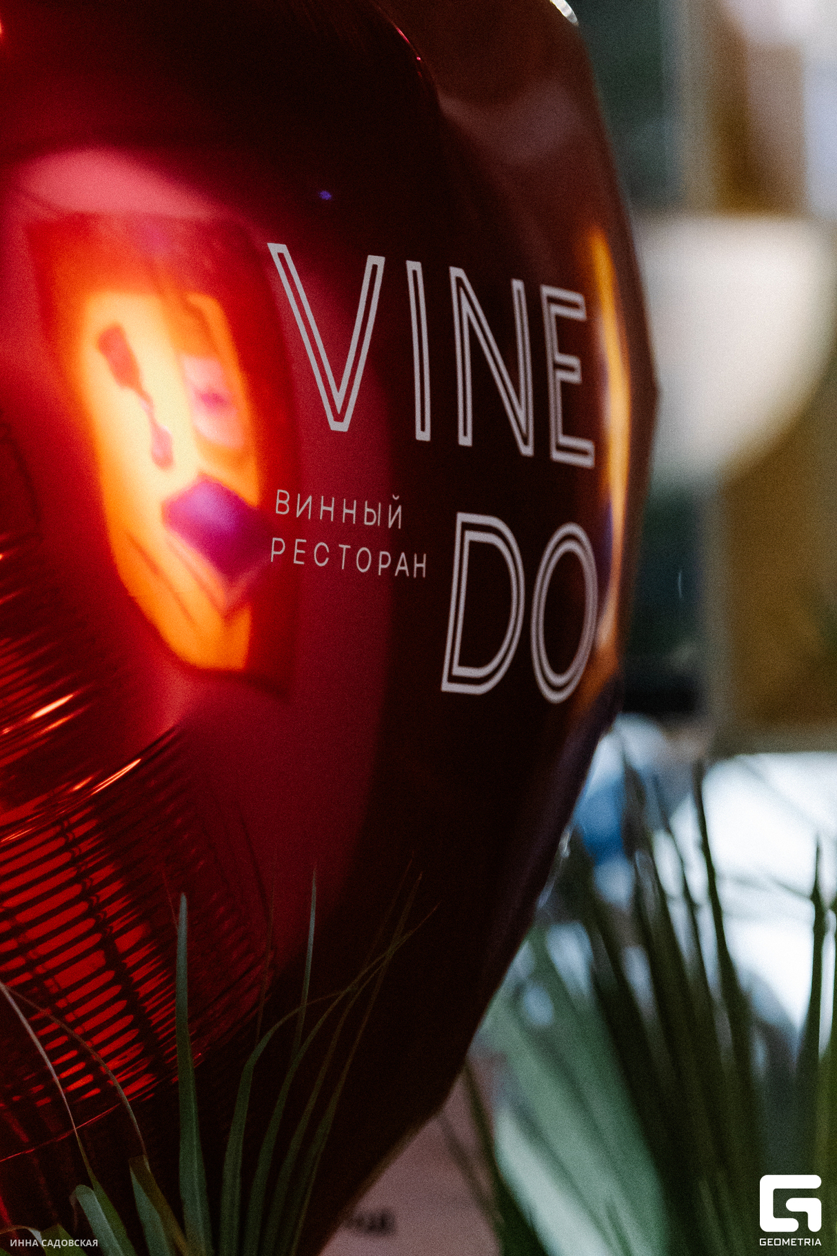 Музыкальный вечер в Vinedo 9