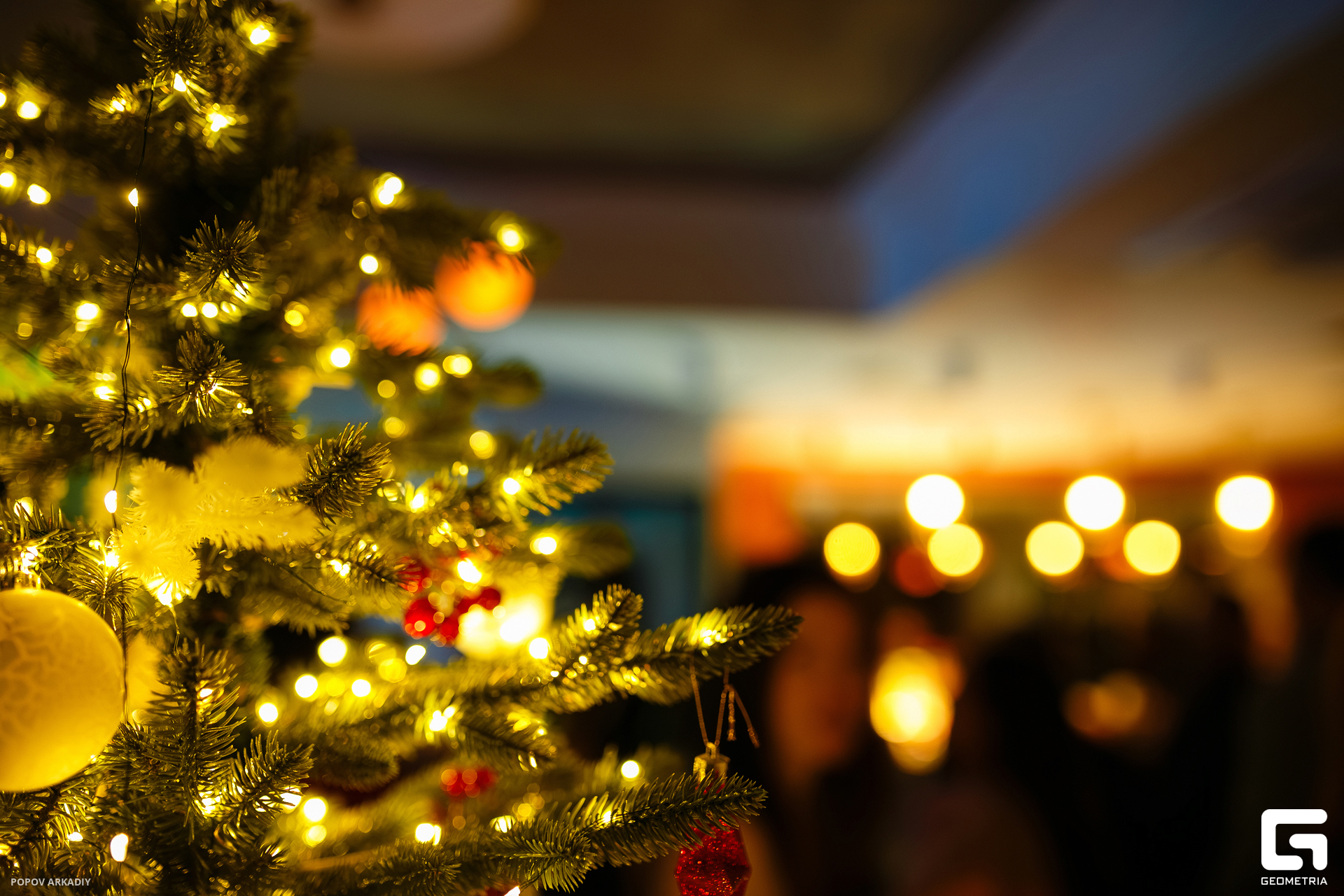 IMG_0101-Улучшено-Ум. шума.jpg