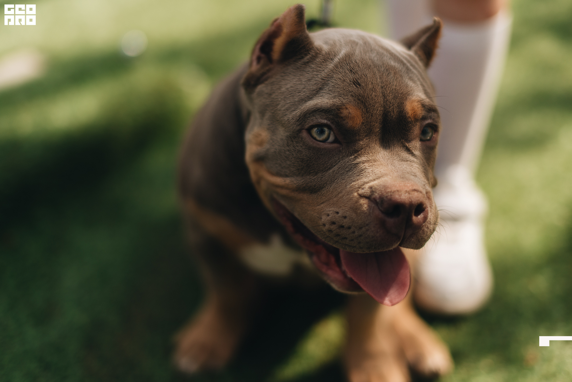 068  06182022  155021 .jpg