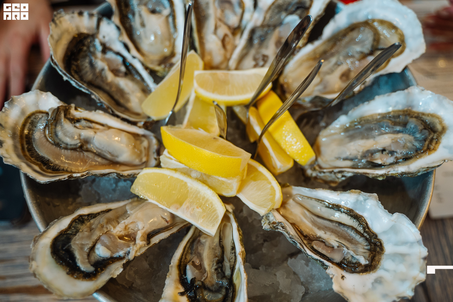 20221125 0064 _AV23960.jpg