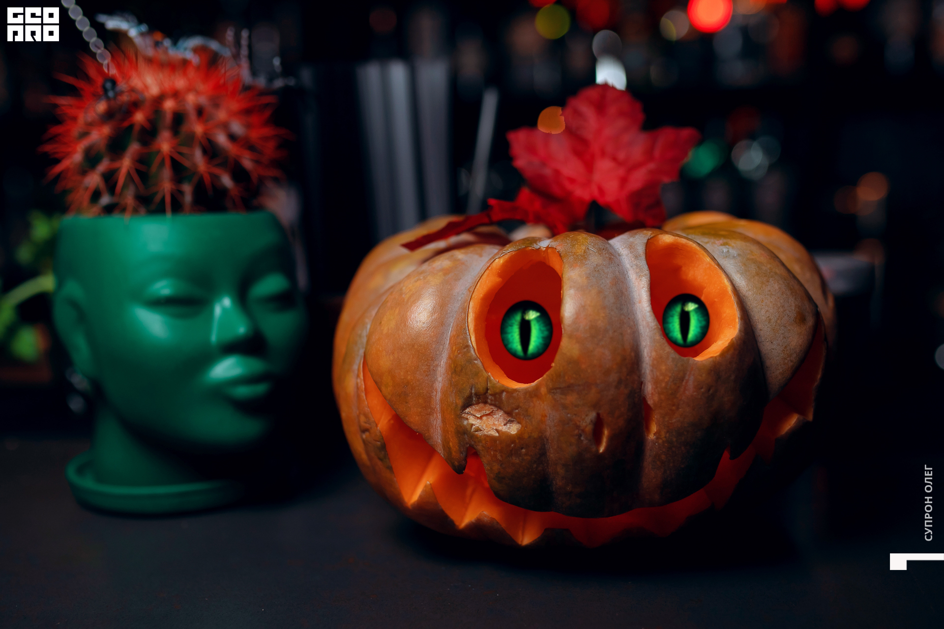 IMG_0712 копия.jpg