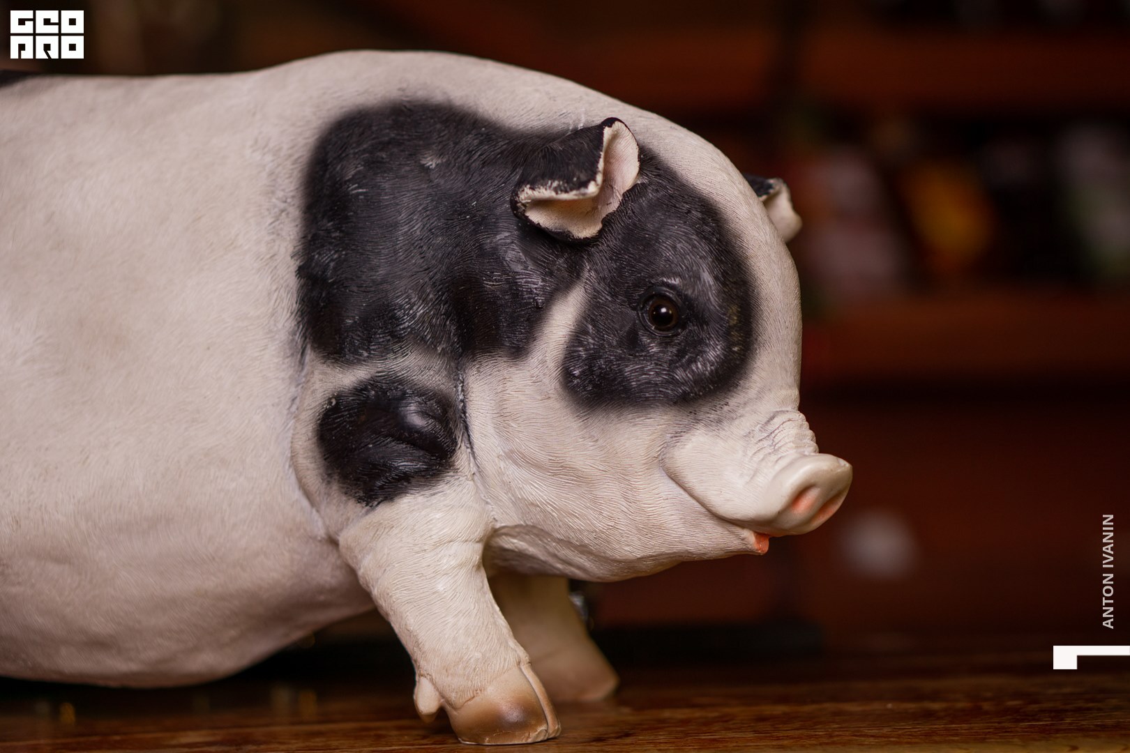 обр-01289 (Копировать).jpg