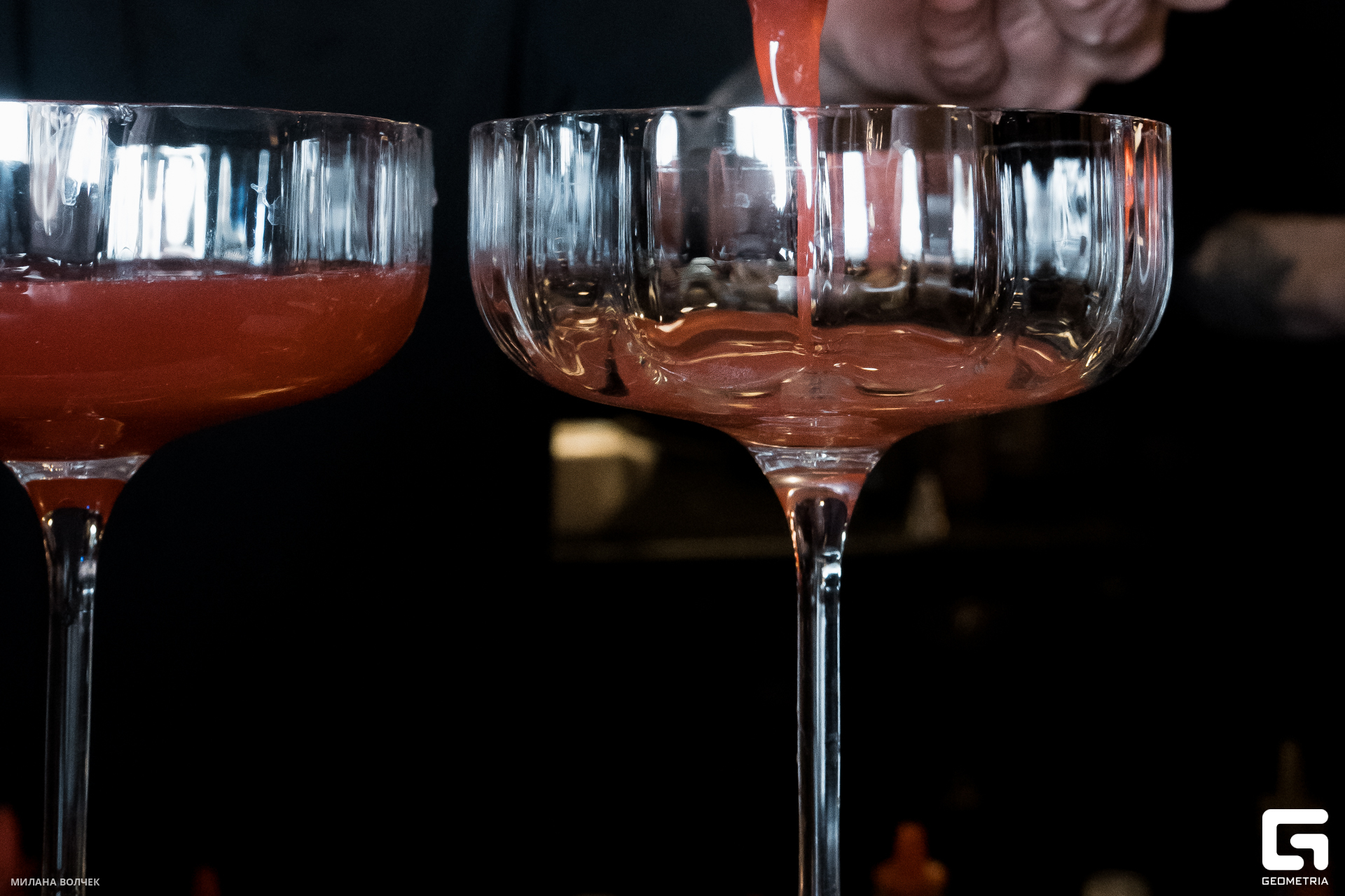 044_20231124 Волчек.jpg