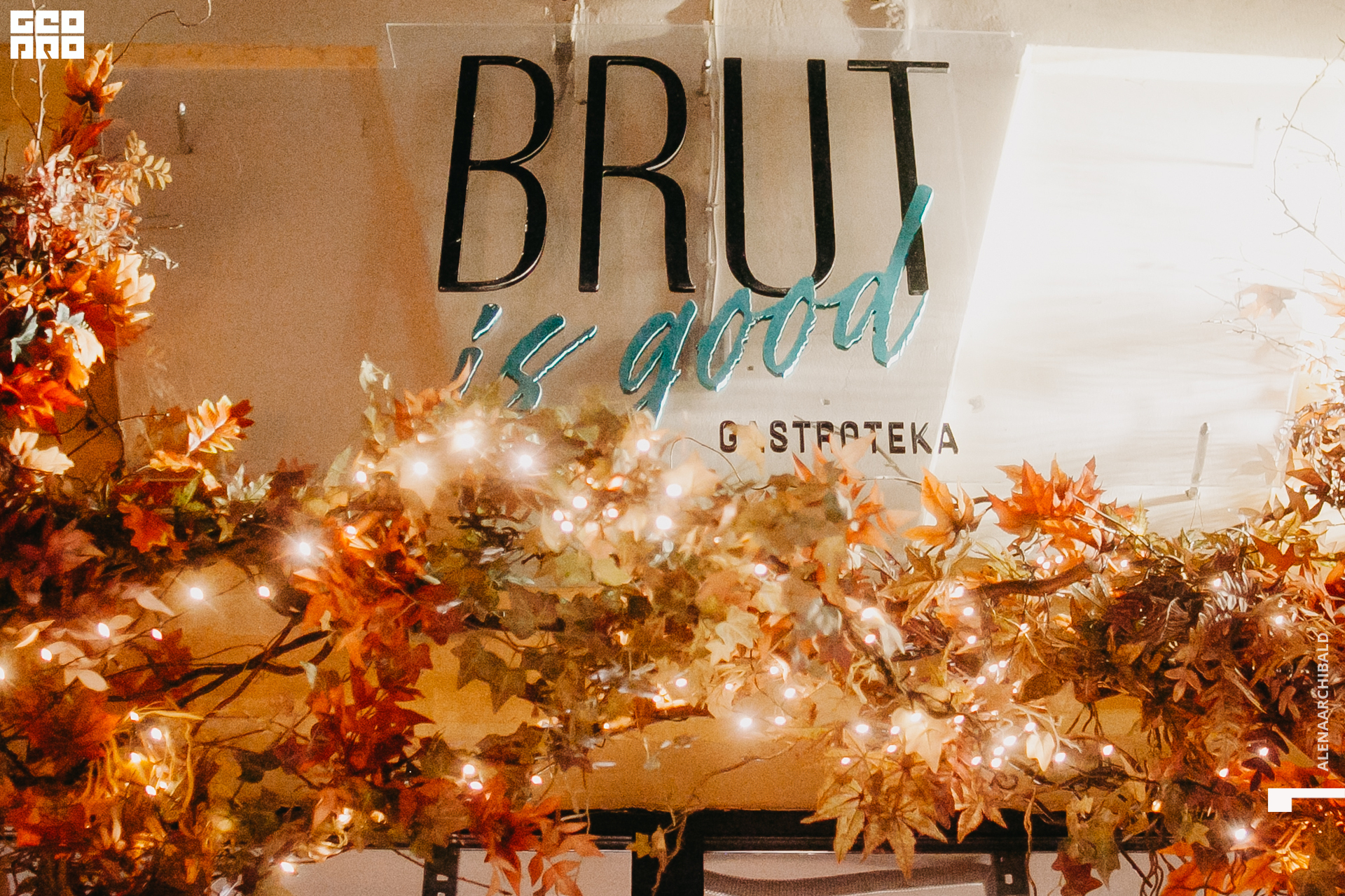 2022-10-07 22-17-51_alenaarchibald002.JPG