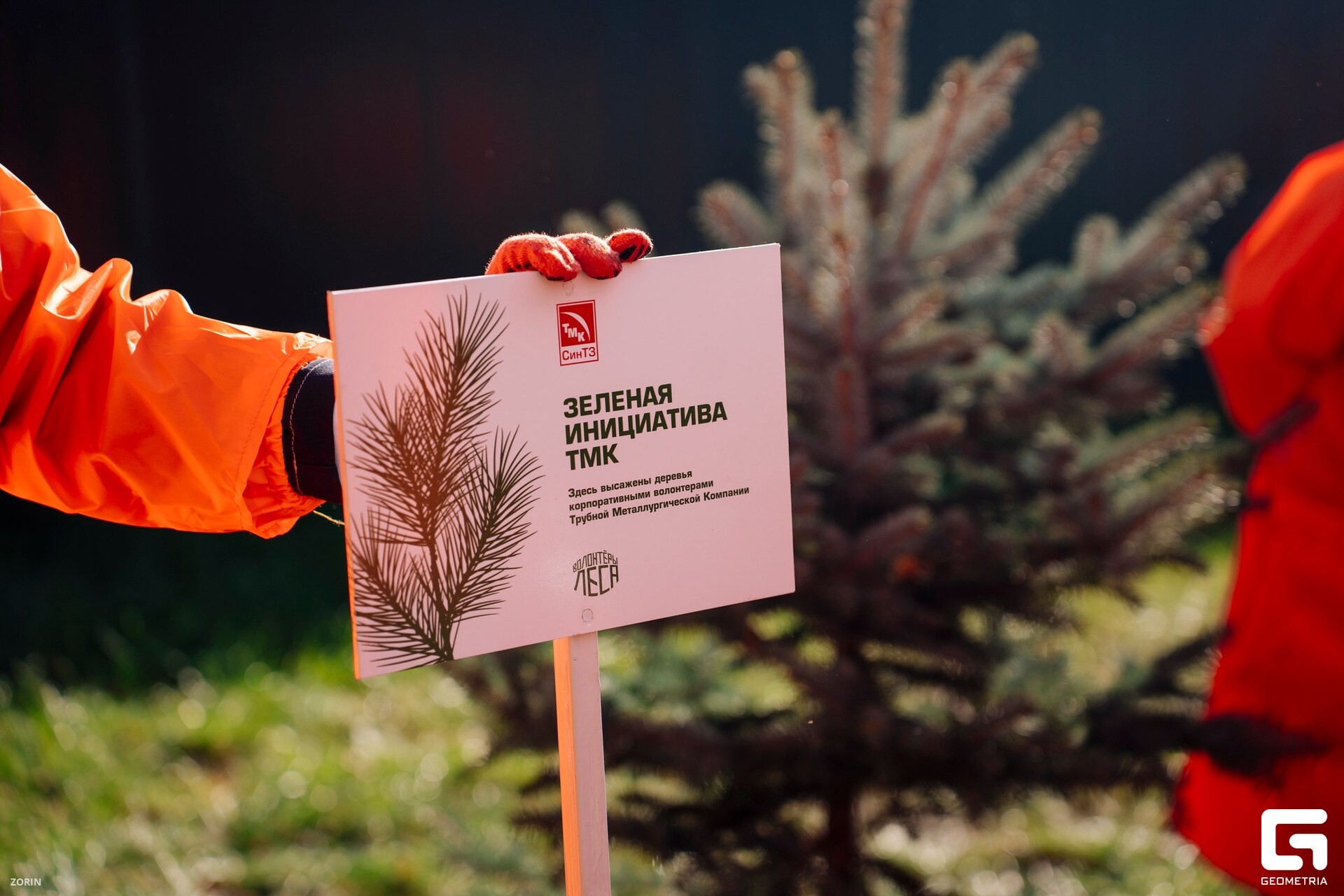 051_11-15-56 _07-10-25_Zorin_resized.jpg