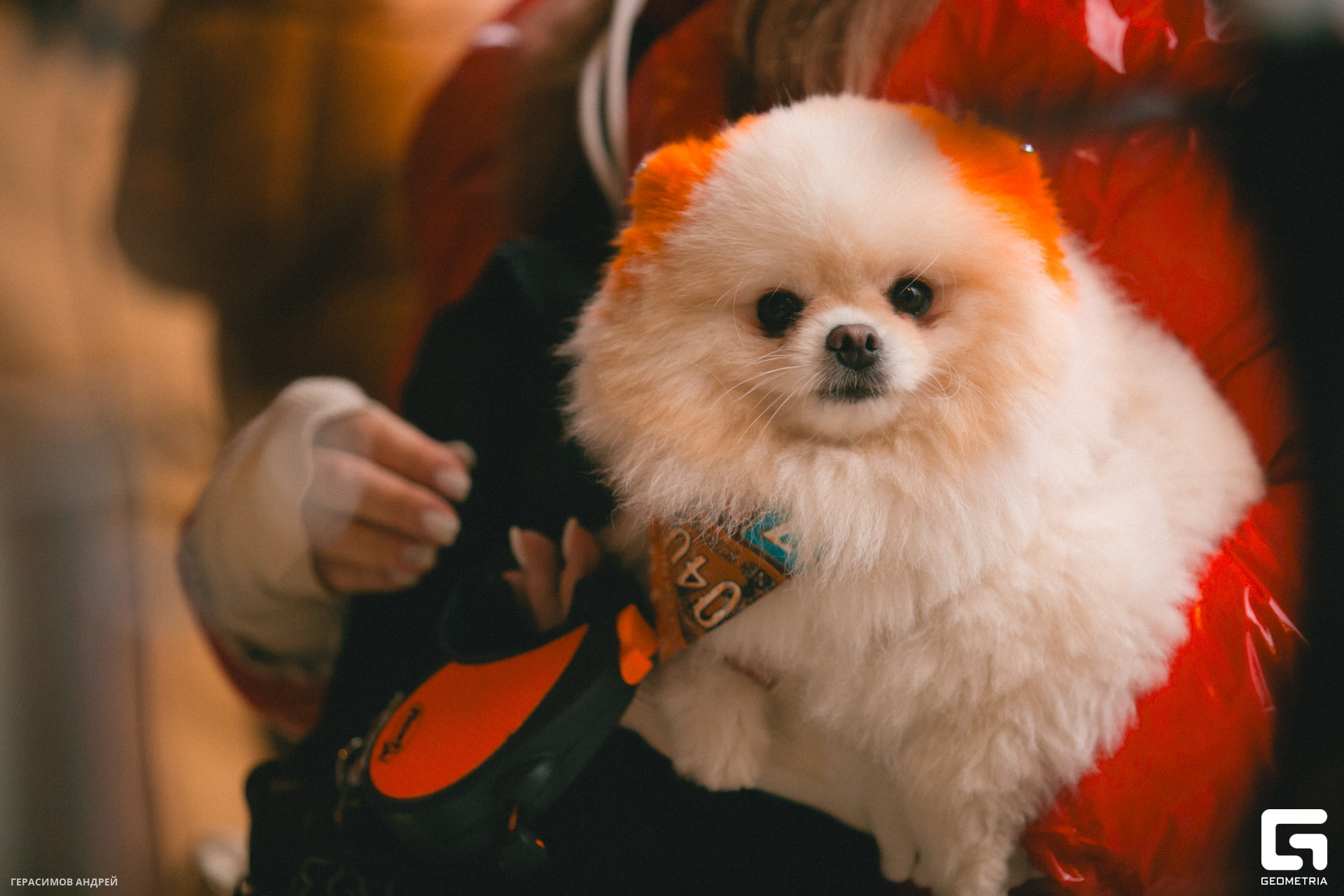 010 Сугроб 2. 01.jpg