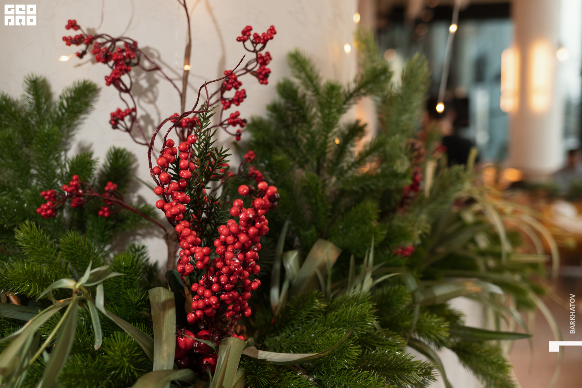 023 (1679) 25.11.22 @mibiyl.jpg