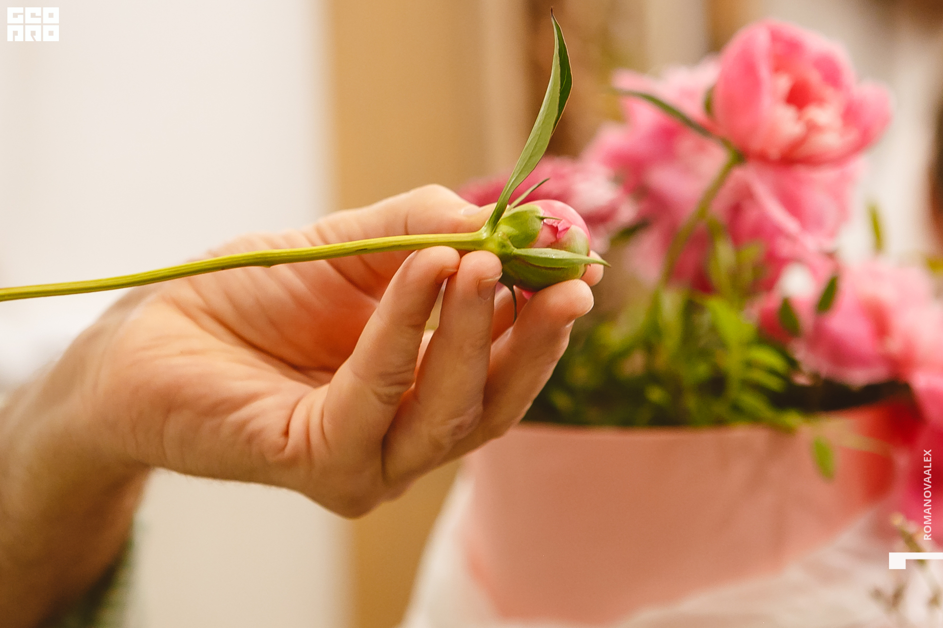 062 210615  204706 _romanovaalex.jpg