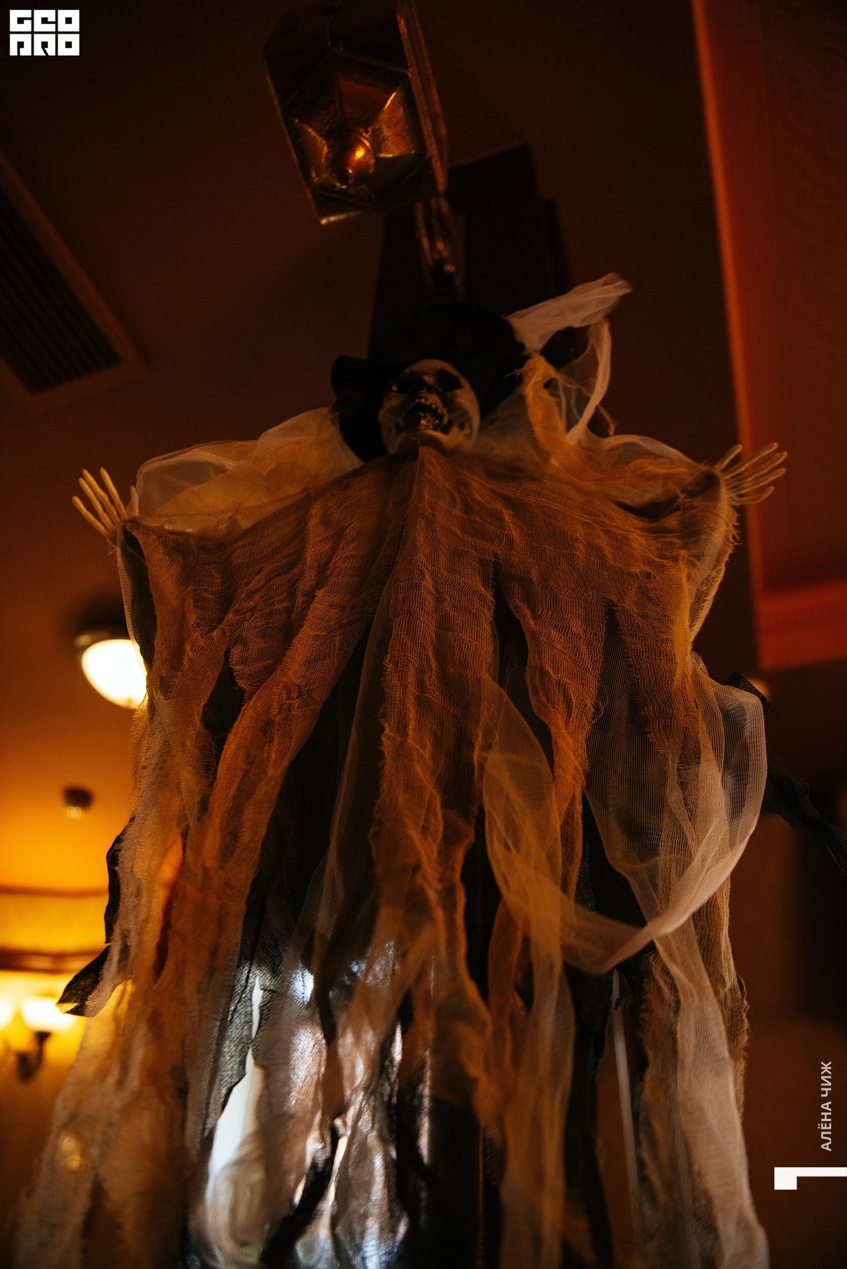 Нalloween 24