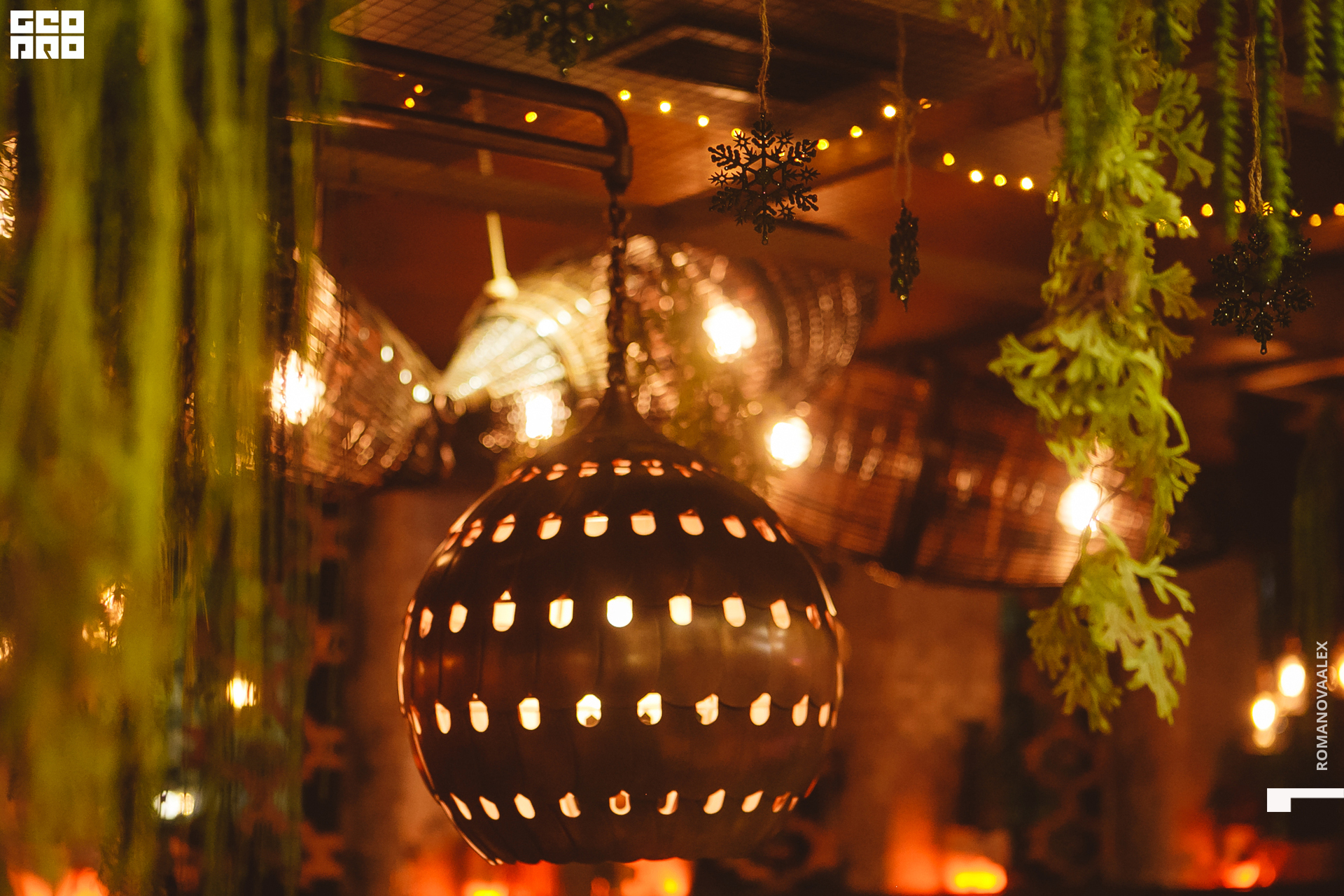 044  ale_romanova.jpg