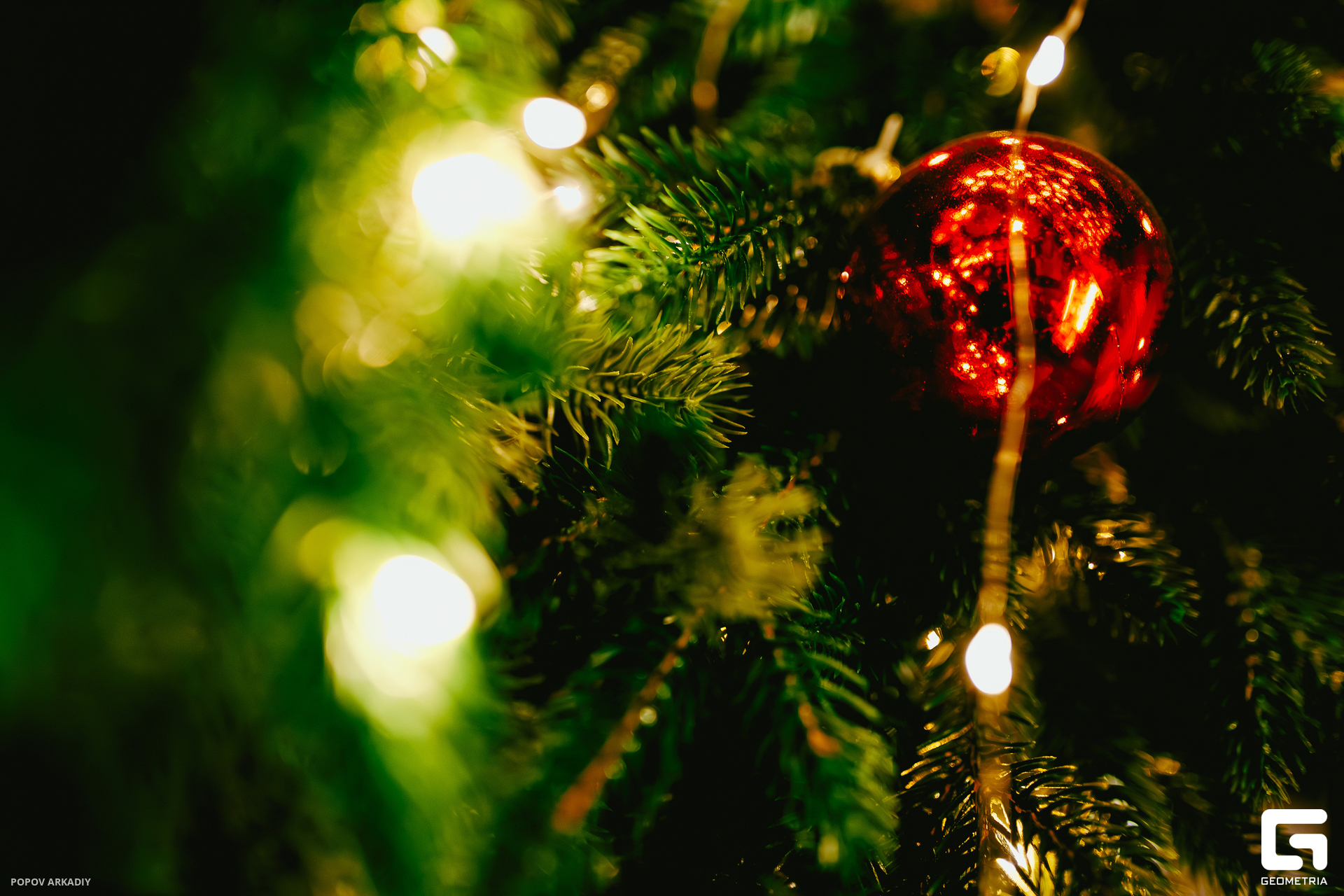 IMG_1759-Улучшено-Ум. шума.jpg