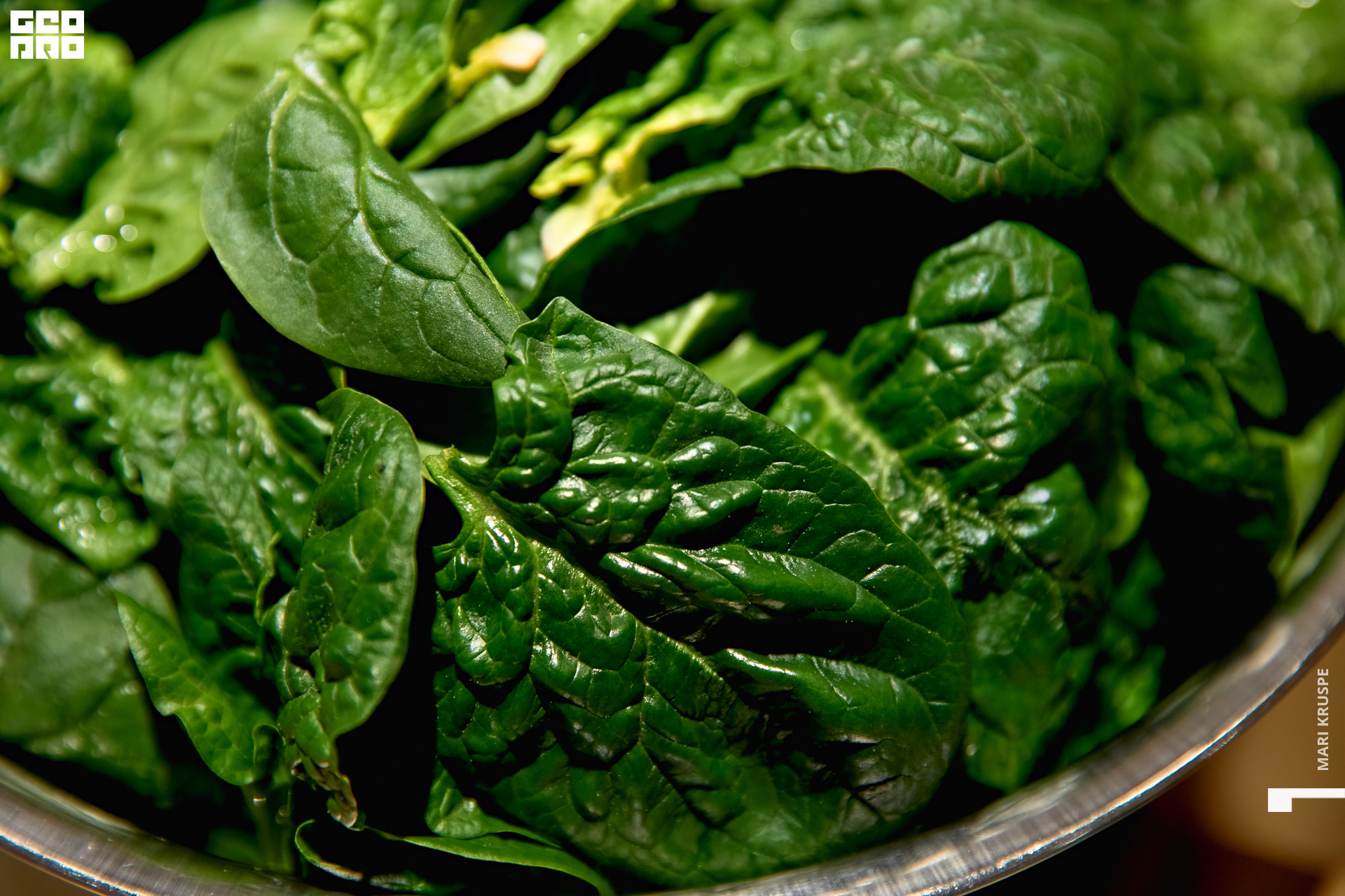 мари0055 (3).jpg