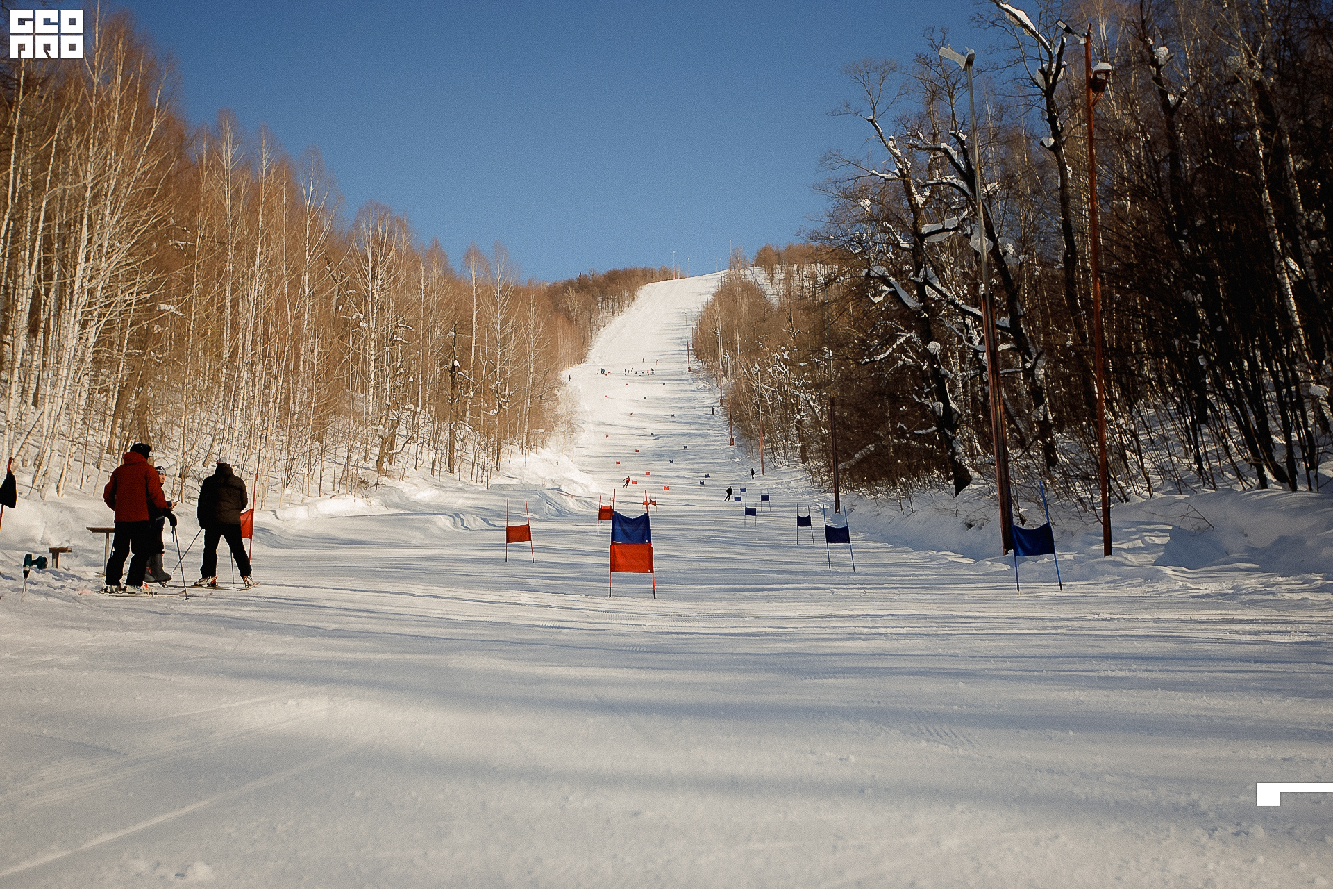 144_22-02-19 ISAEVA.jpg