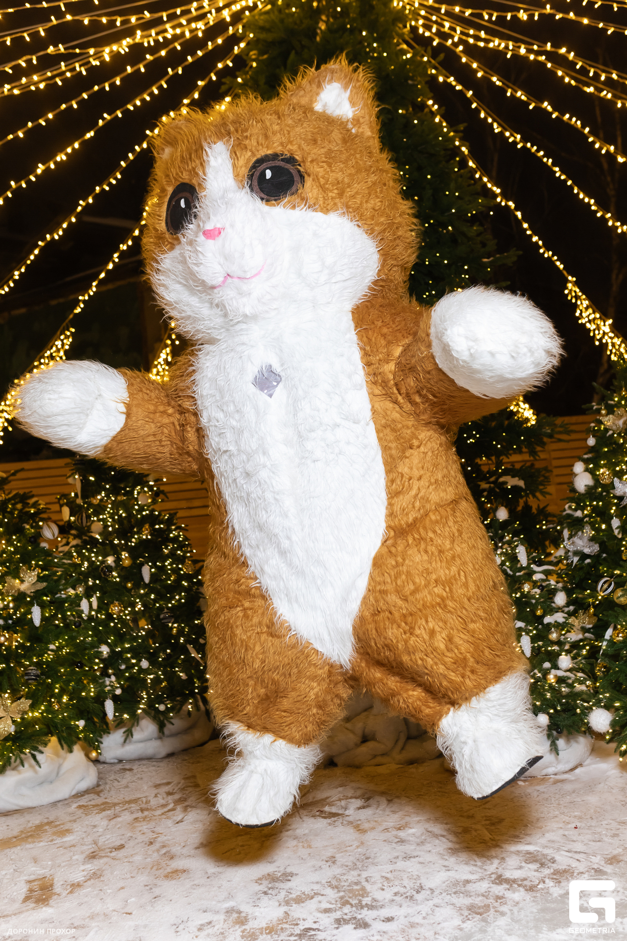 2023.12.27 Каток 078.jpg