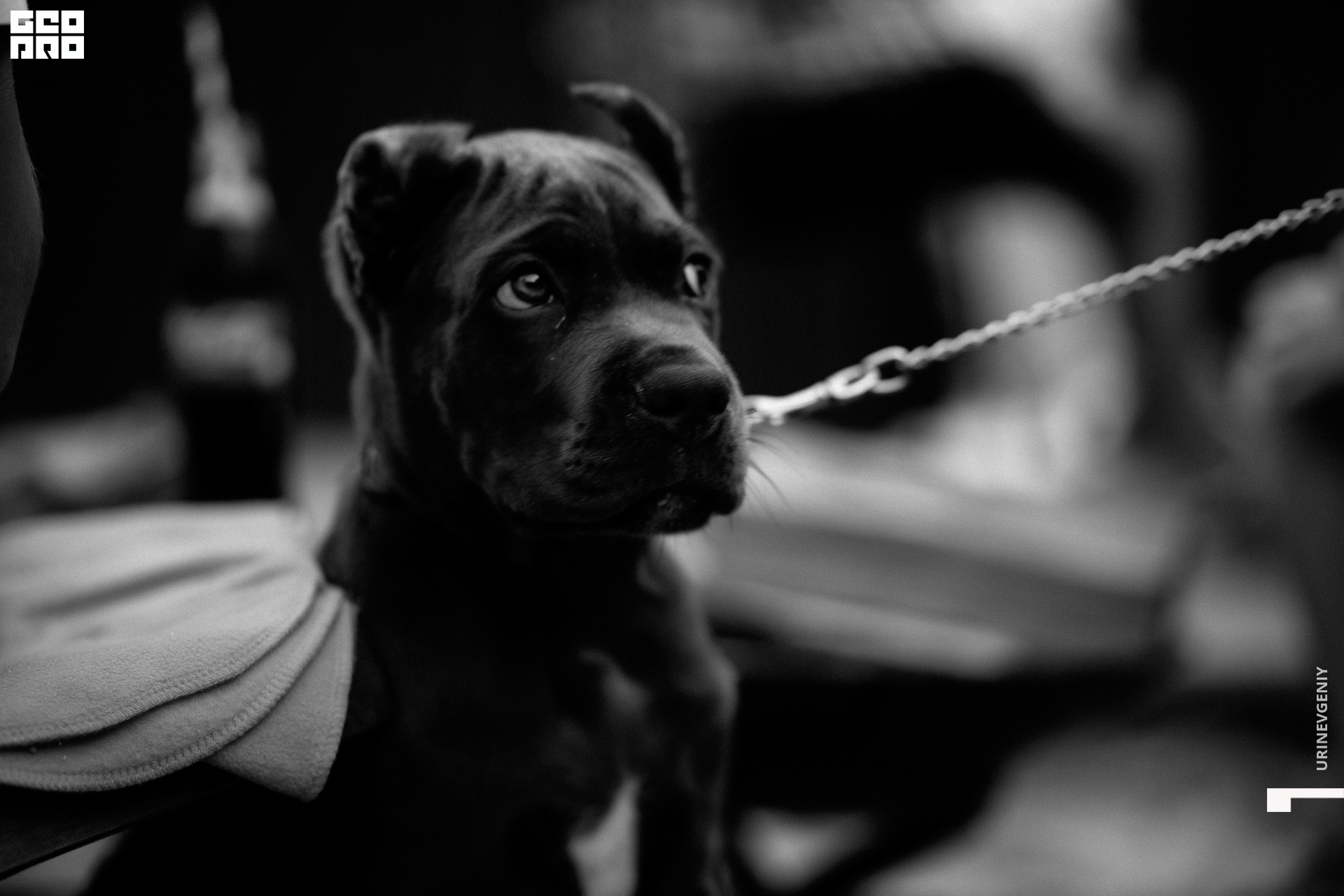 21.08. Питерский Дворик (10).jpg