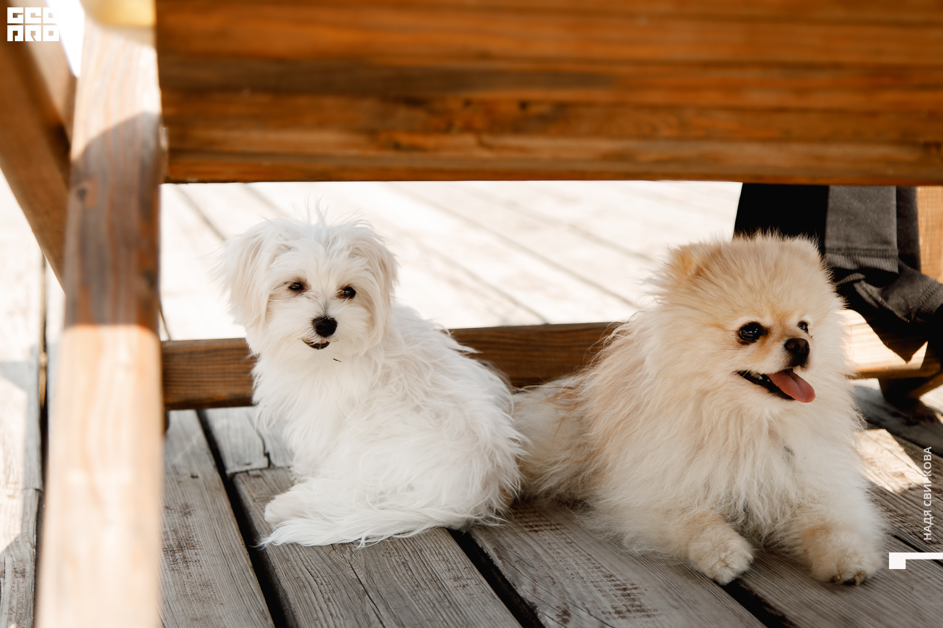 382_22-07-09 ISAEVA.jpg