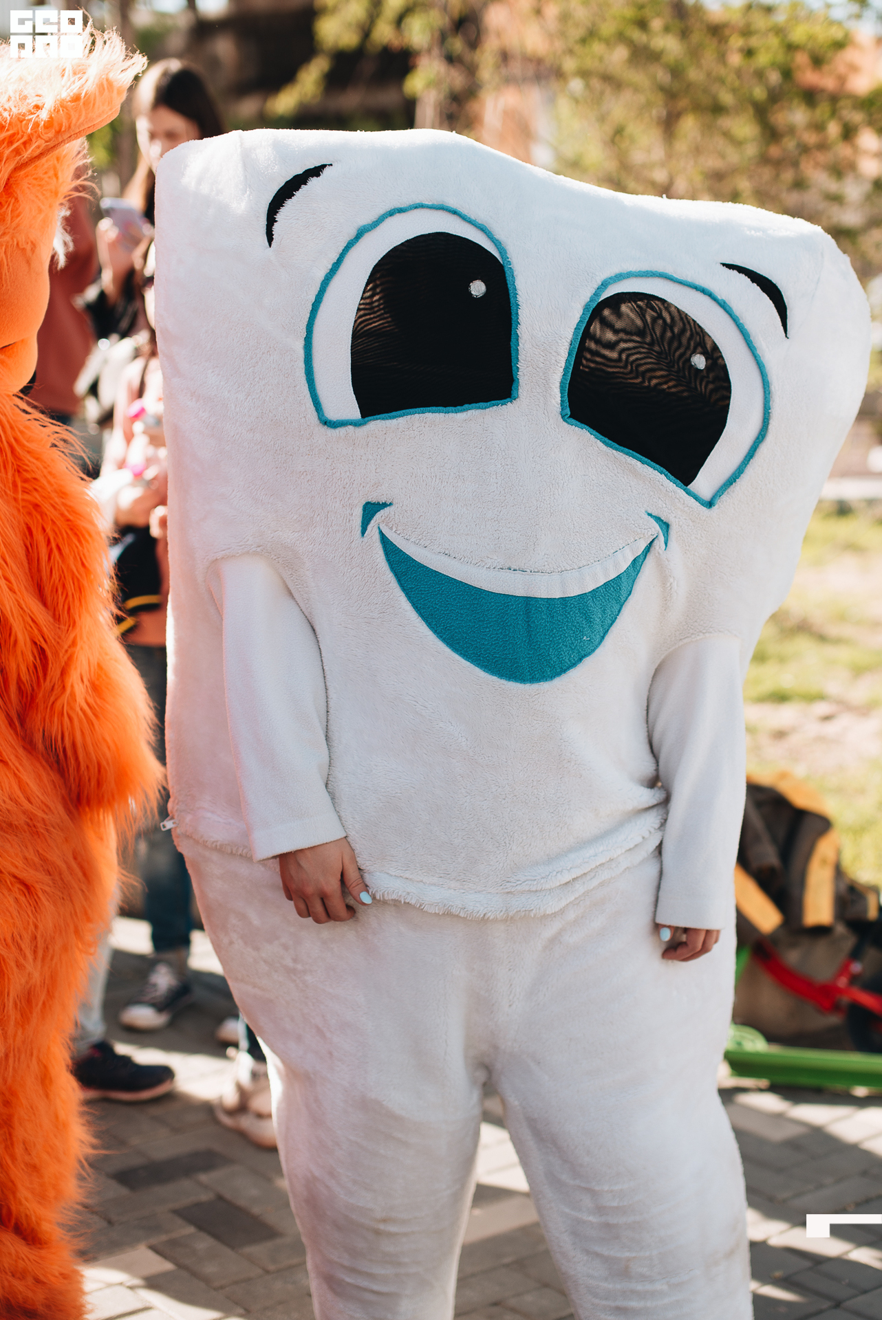 032 2022-06-01-173618_arseniyermakov.jpg