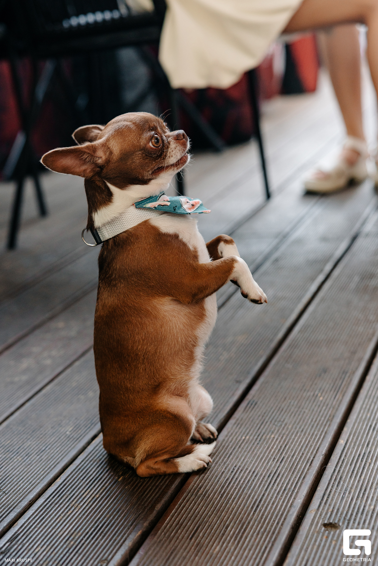 MARI7265 копия.jpg