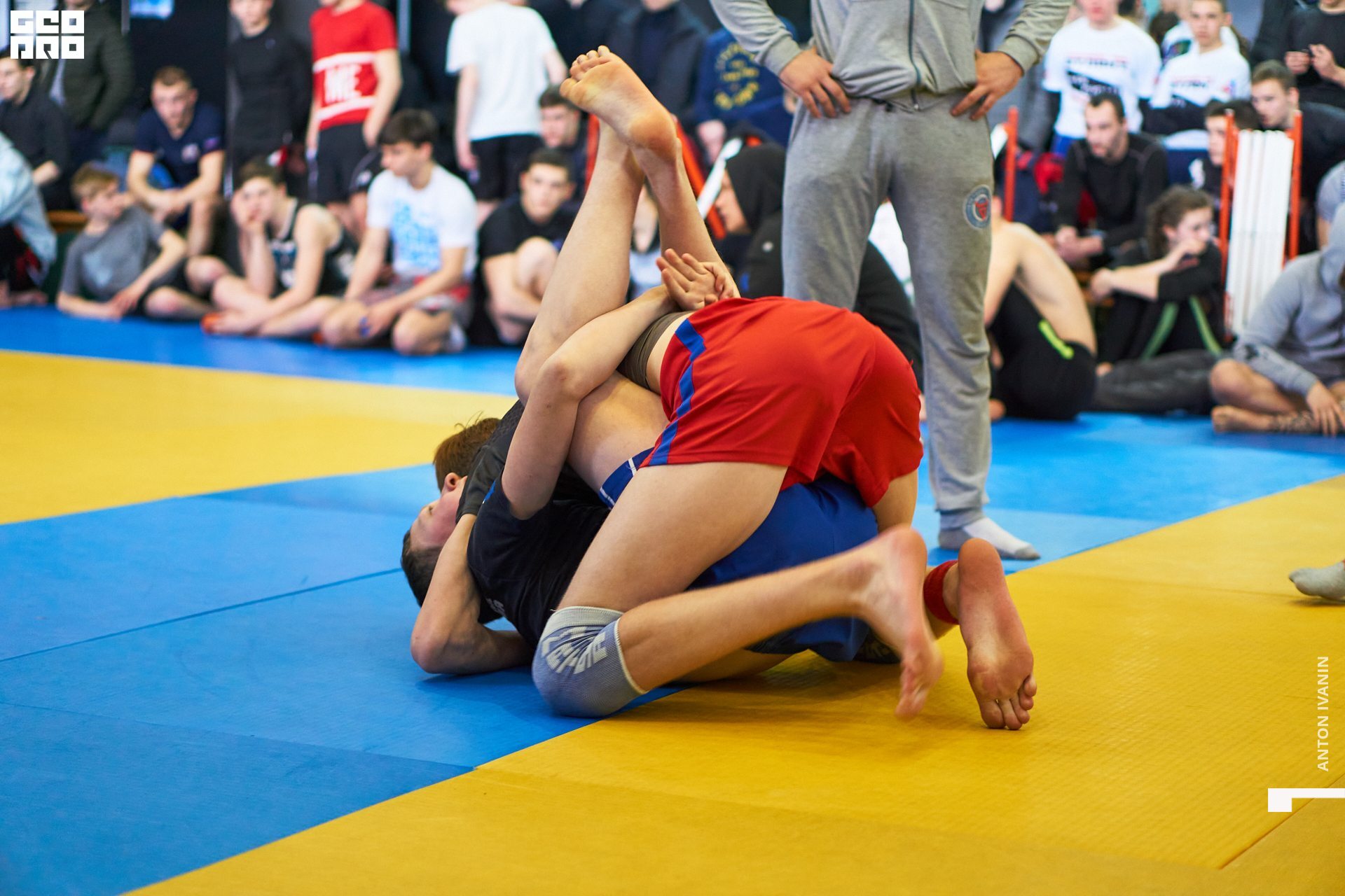 DSC08607 (Копировать).jpg