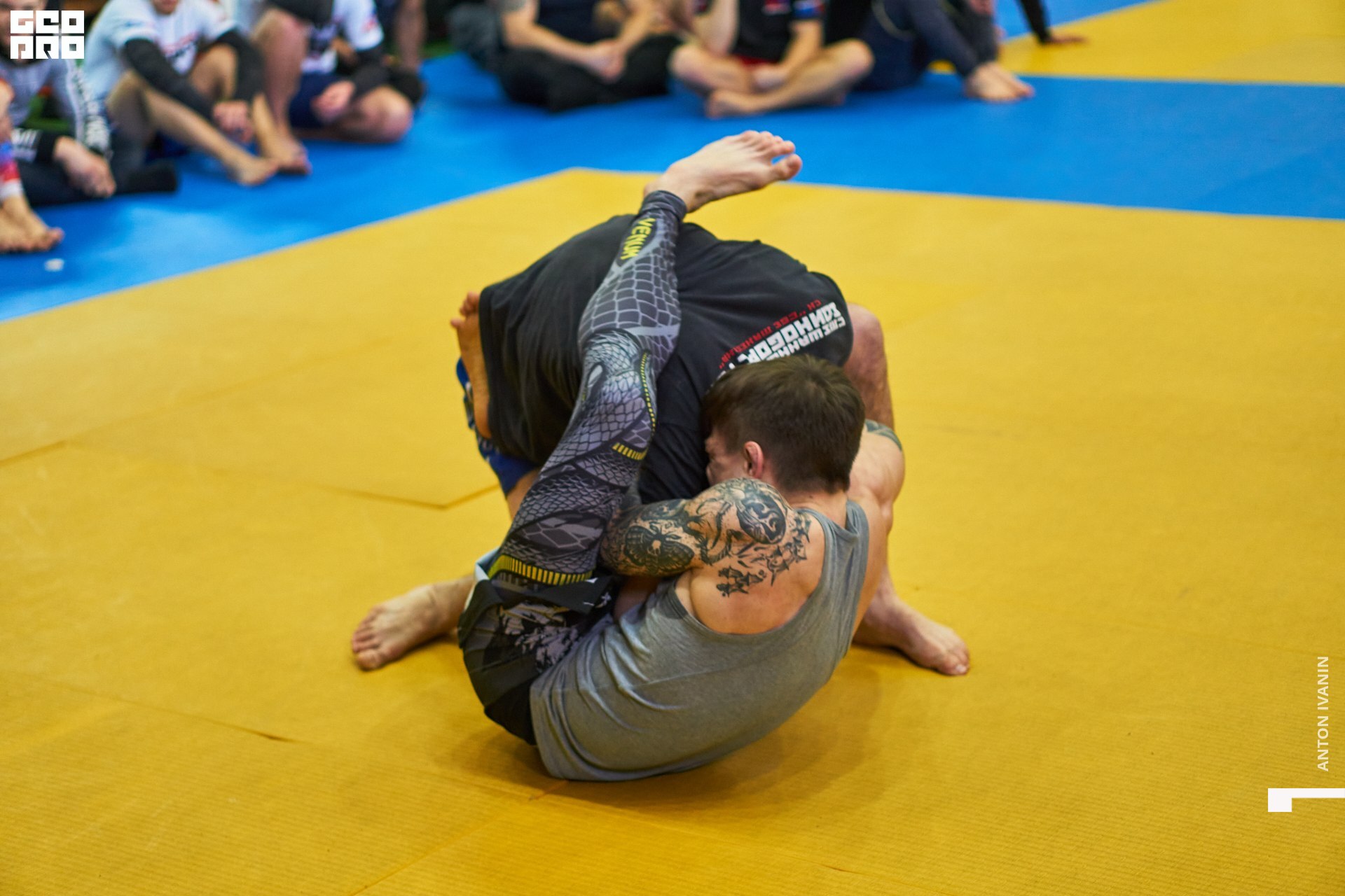 DSC09437 (Копировать).jpg