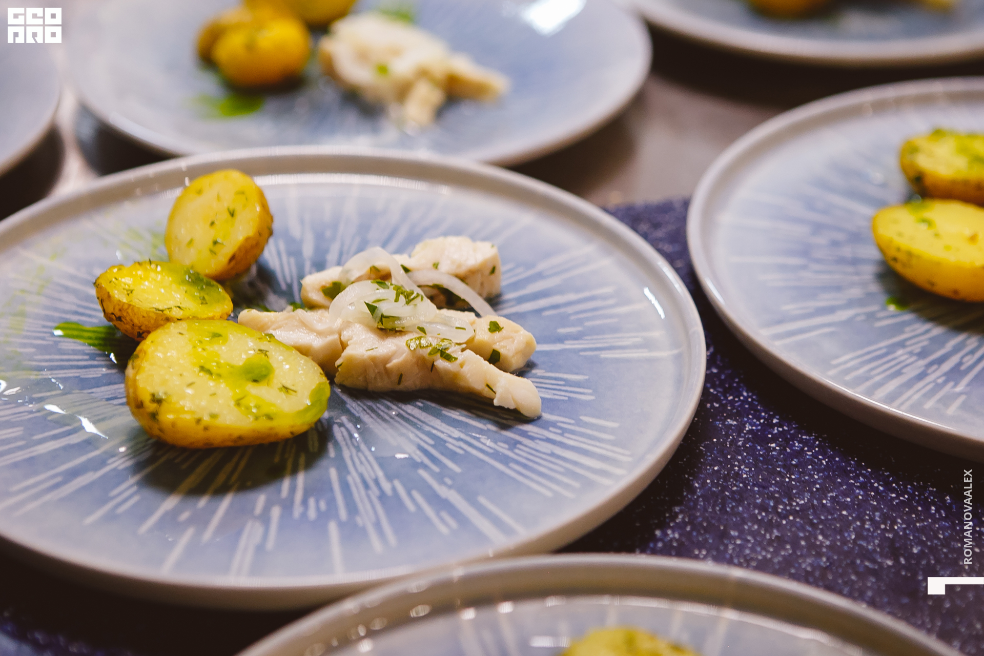 065  07182022  130556 .jpg