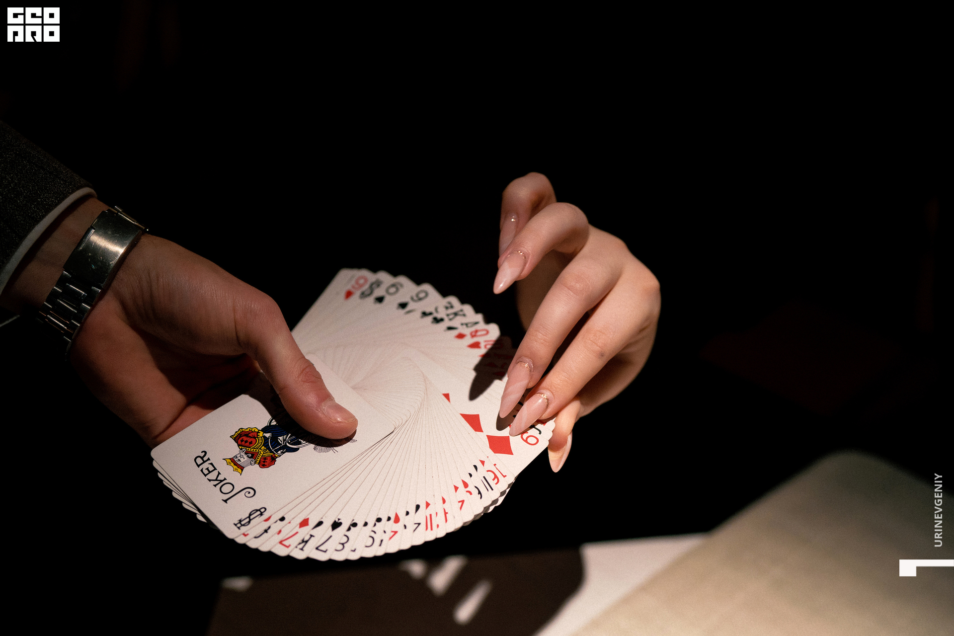 14.02.2022. Балерина и Бифштекс (10).jpg