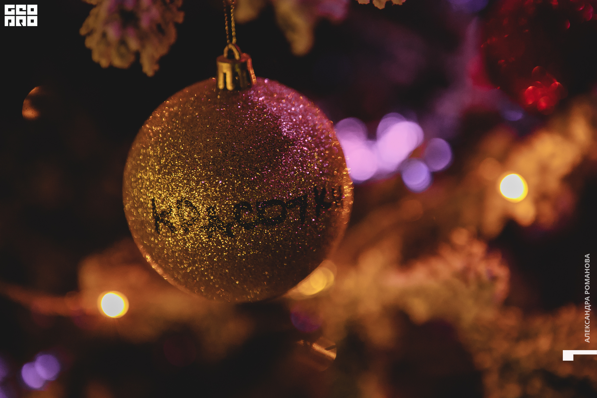 106   122622  001439 .jpg